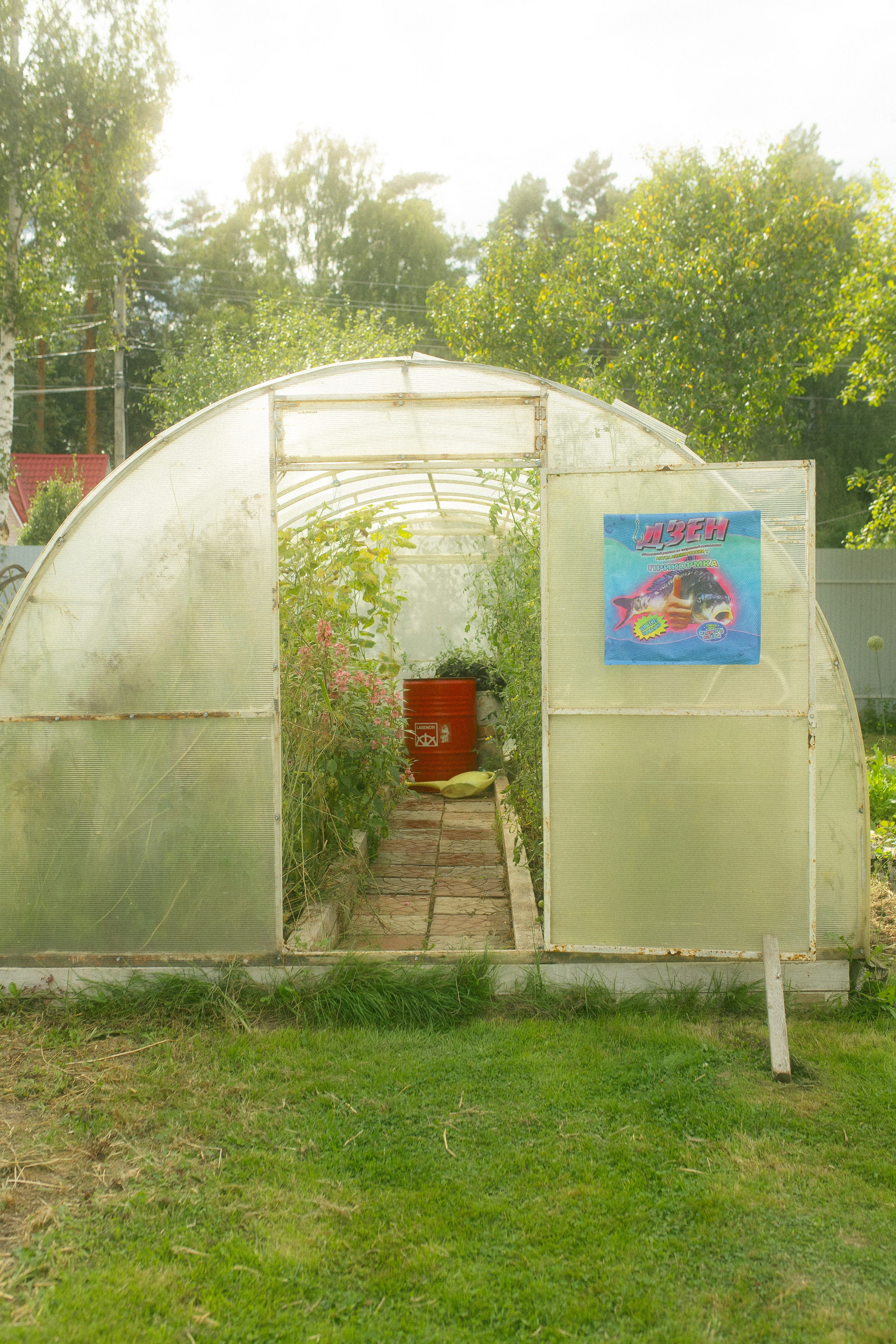 Яндекс Дзен. Предметный фотограф Москва Глухарёва Оля