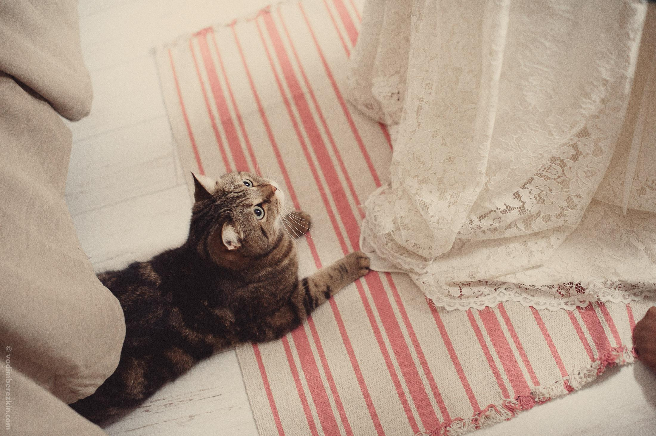 Диана и Виктор. Фотограф Вадим Берёзкин