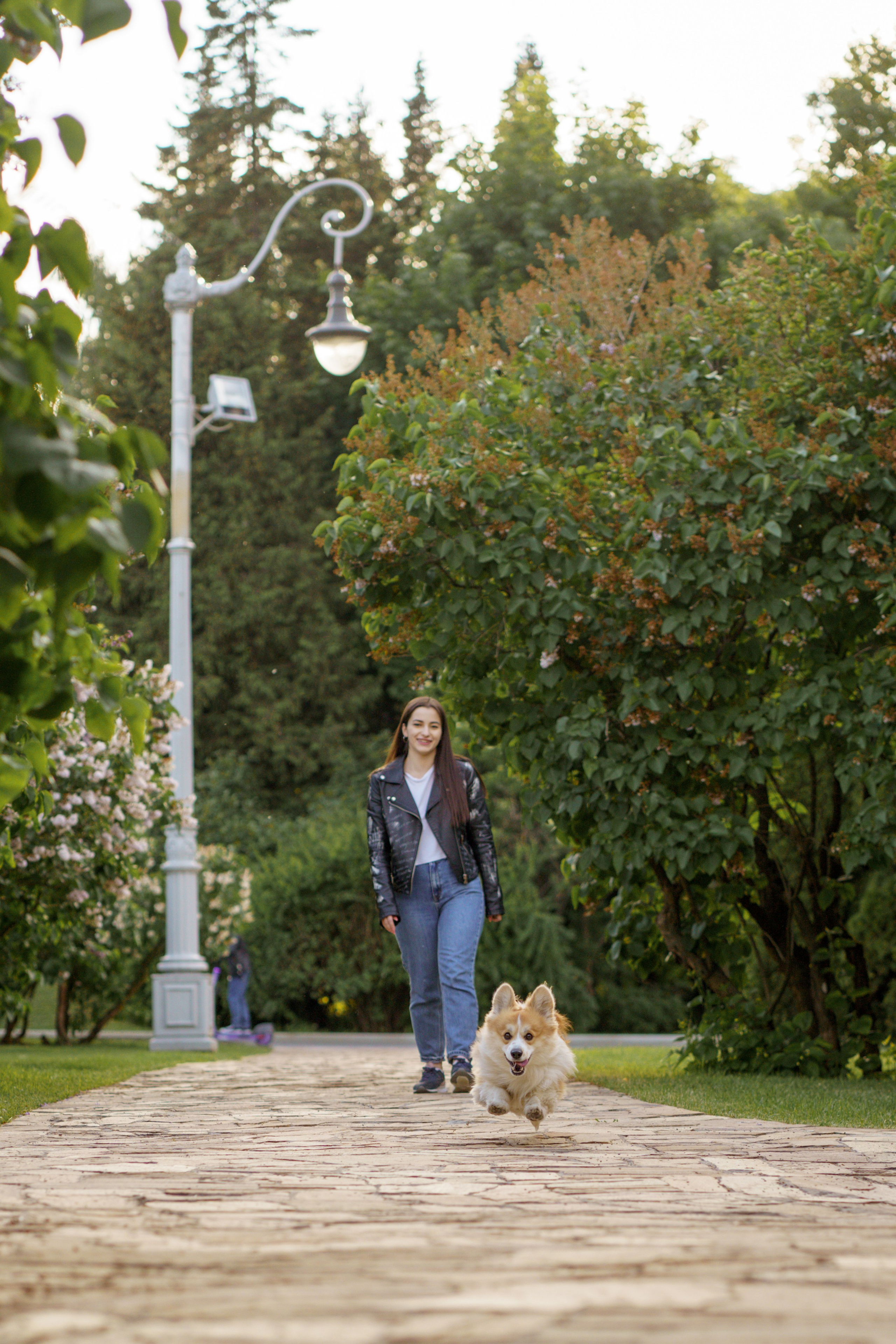 Катя, Арсений и Пух. Свадебный фотограф в Москве Анна Полушина