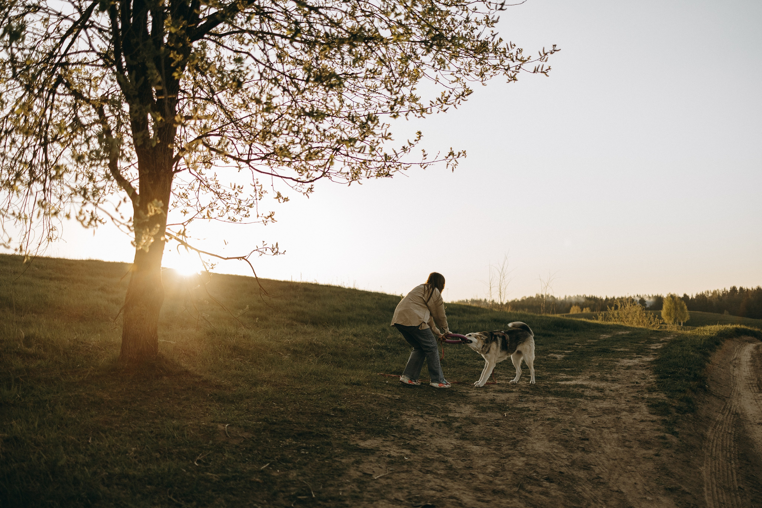 Саша и Зельда. Фотограф — Анималист | Санкт-Петербург