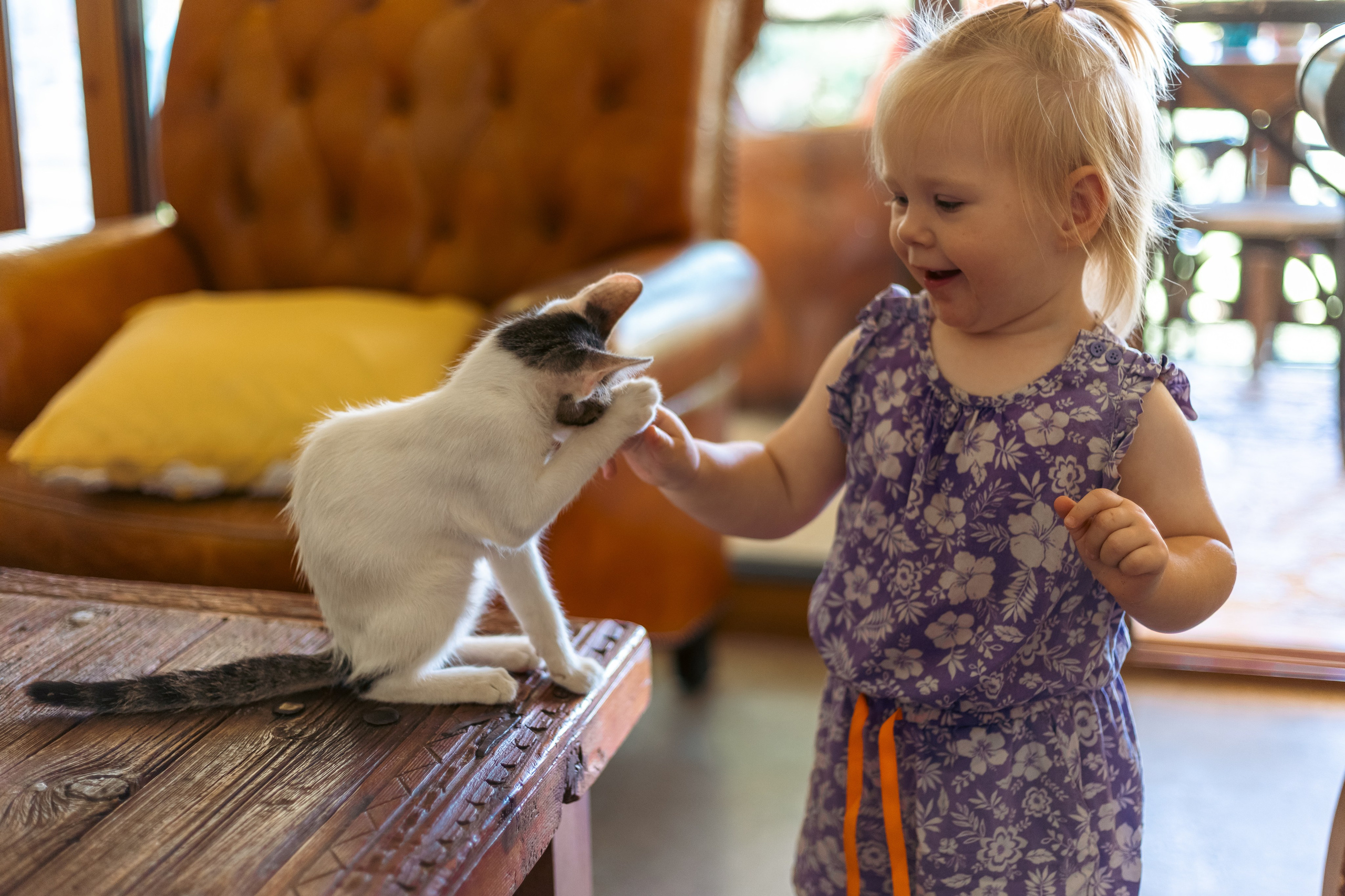 Оливия. Семейный фотограф Израиль