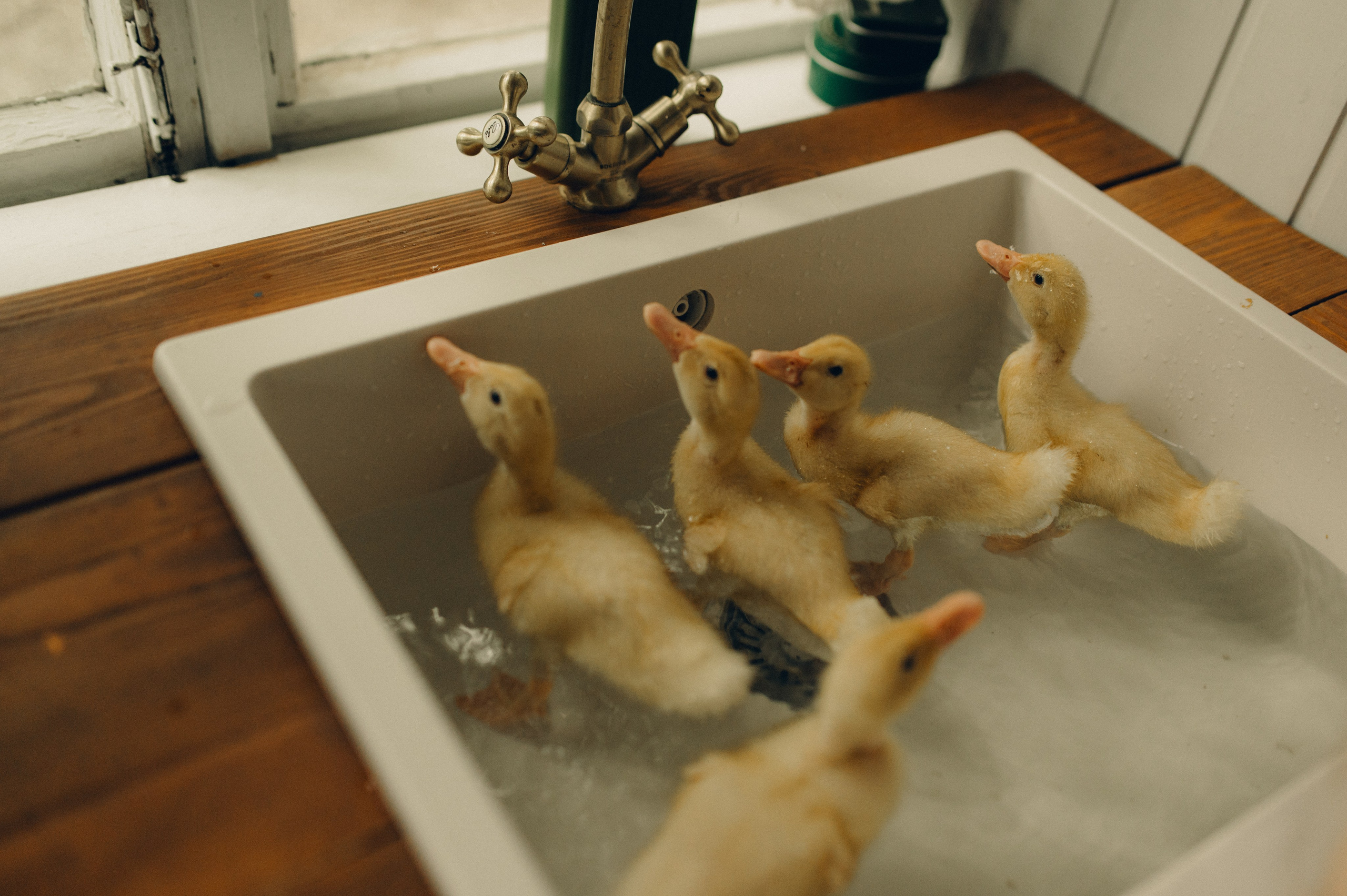 Весна в ладошках. Семейный фотограф в Москве Екатерина Денисенко | Фотосессии без постановки дома и в студии