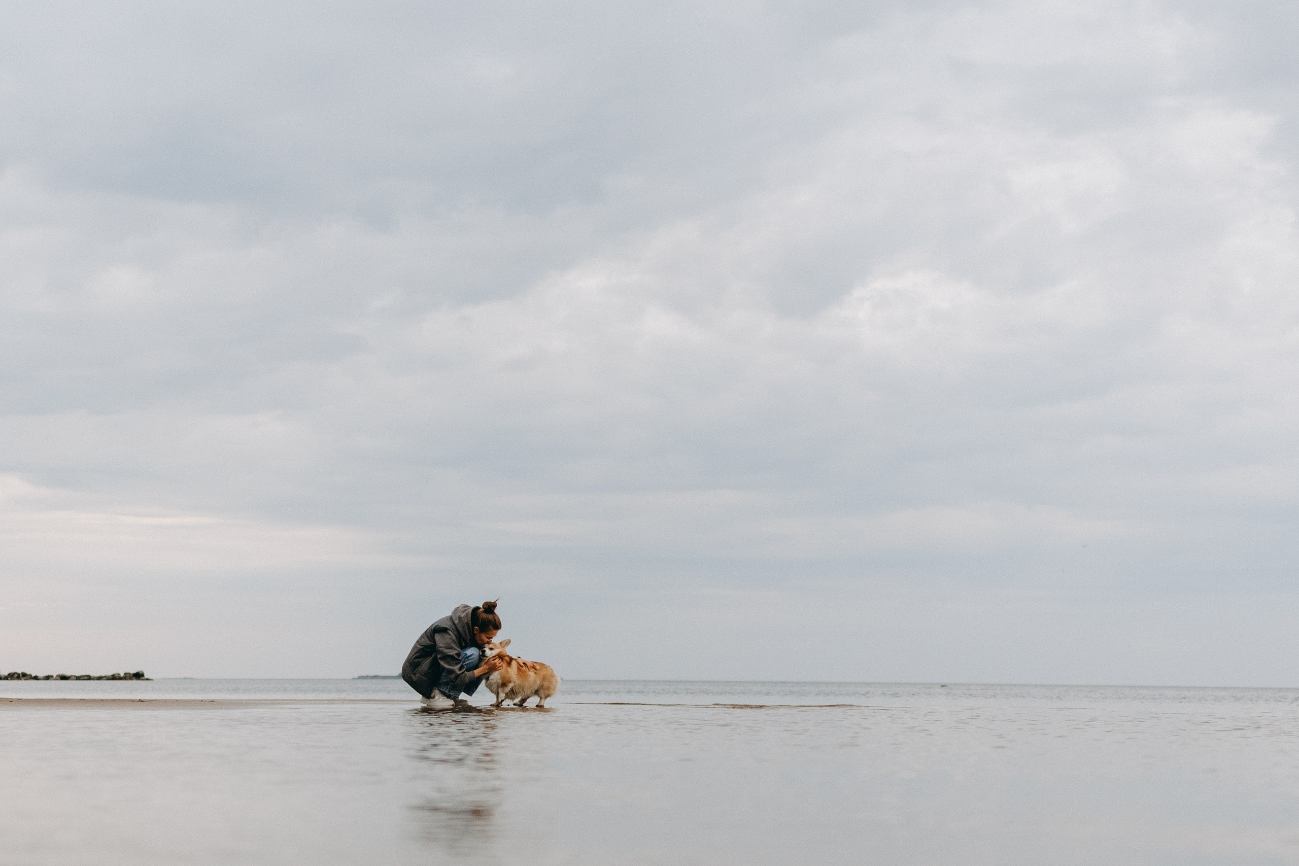 Лиза и Бакс. Фотограф — Анималист | Санкт-Петербург