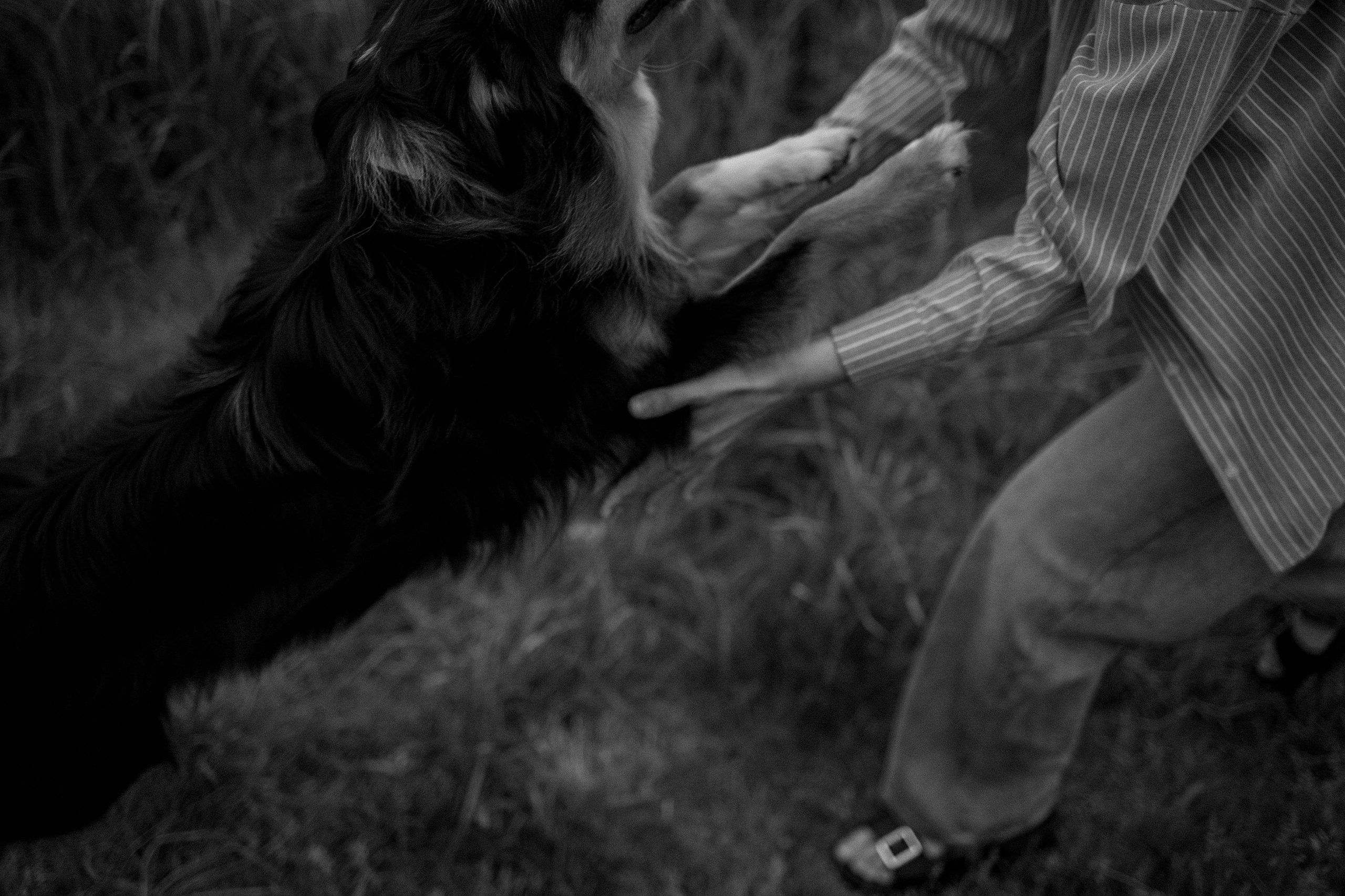 Настя, Никита и их Гром и Мяу. Фотограф — Анималист | Санкт-Петербург