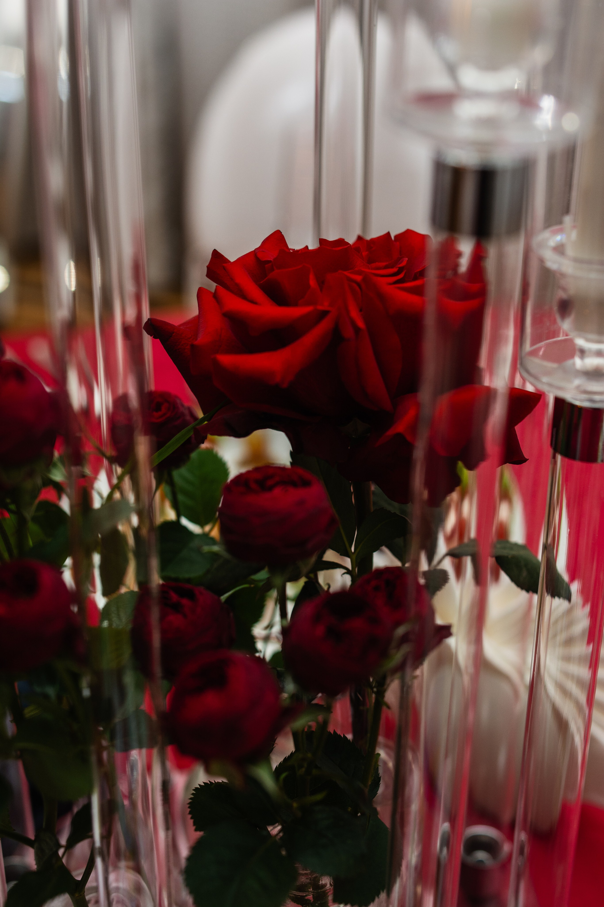 Благотворительный концерт «Твори Добро». Фотограф в Москве Ангелина Ким