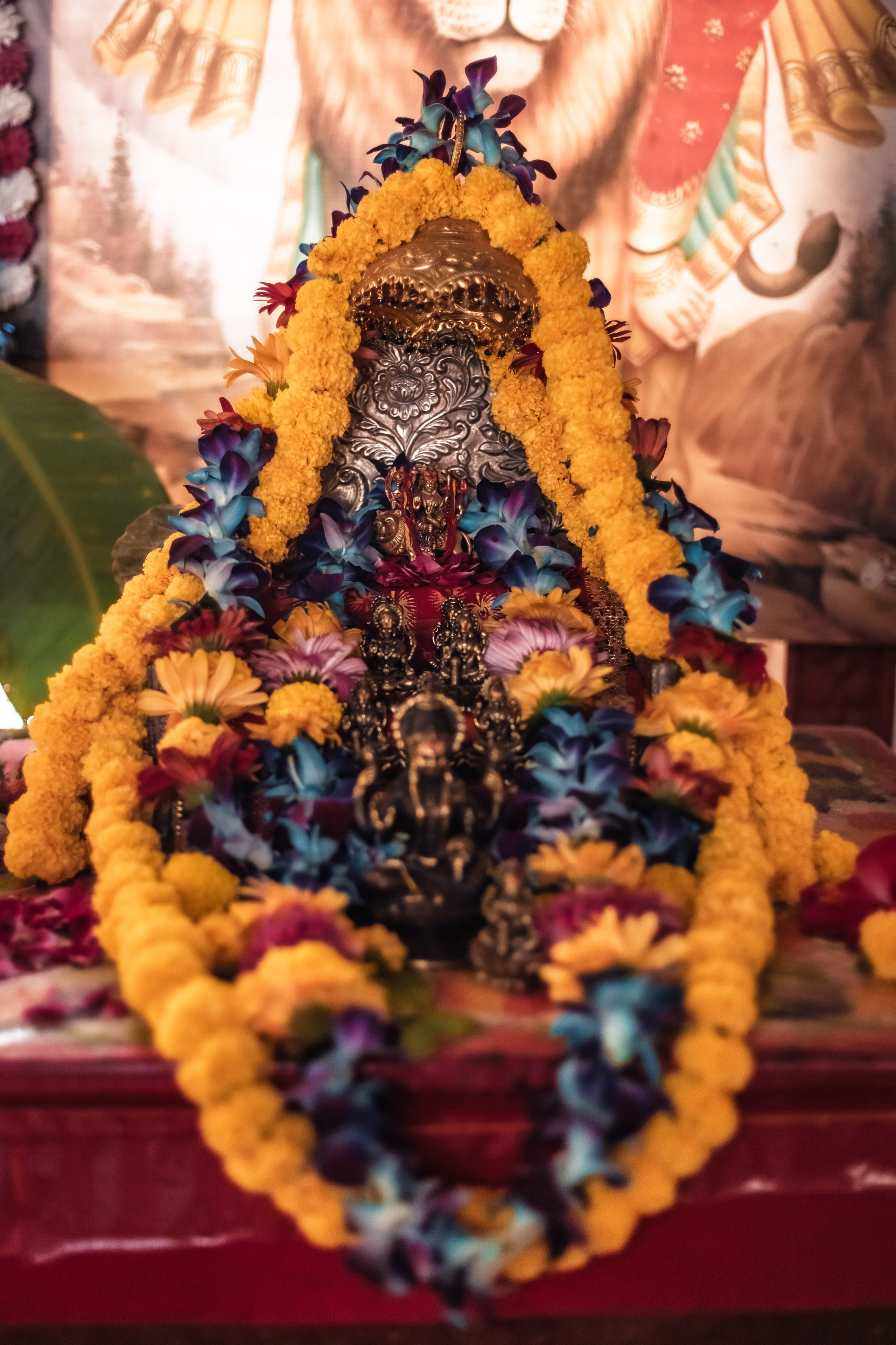 Devraha baba ji ashram life 2025. Mariam Bagdasaryan