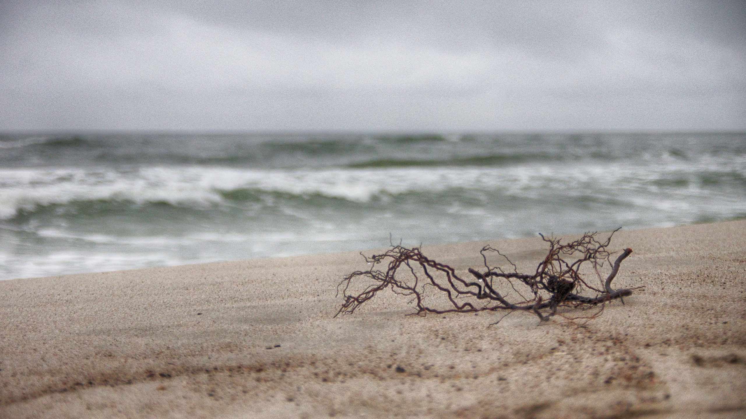 Пейзаж. Семоха Валерий. Фотограф