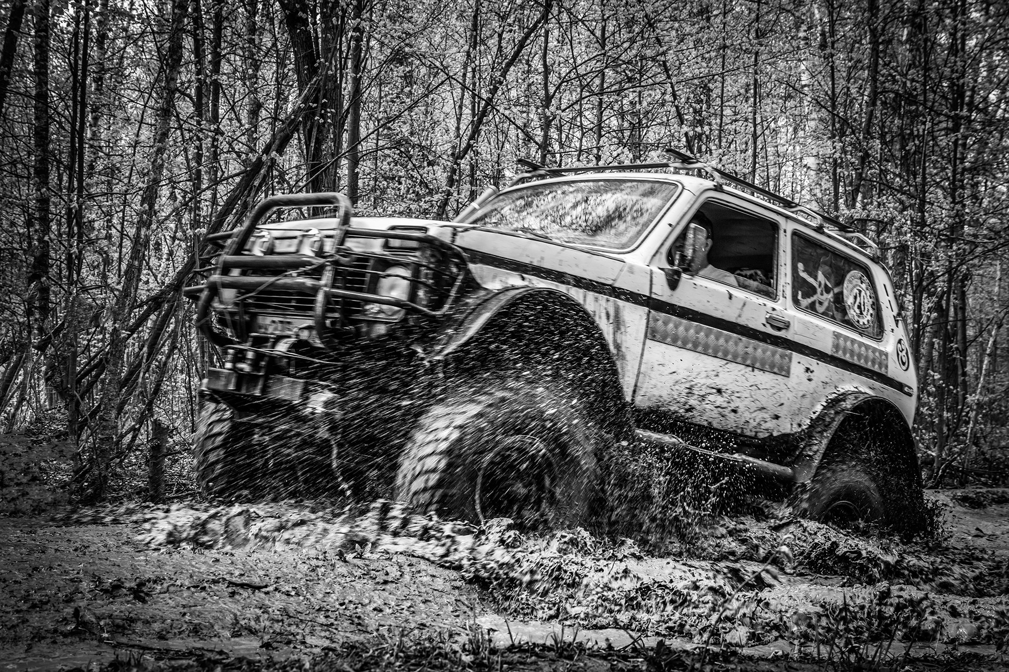 Репортаж. Портретный и семейный фотограф в Москве Волгина Анастасия