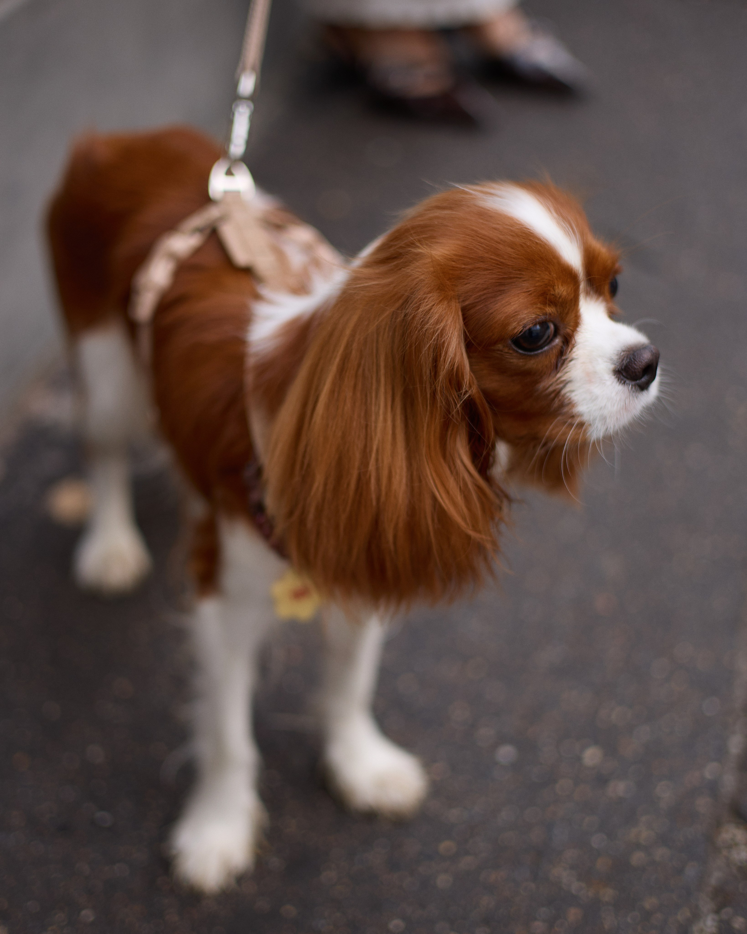 Liza&Tea. Фотограф для брендов и индивидуальных фотосессий в Москве