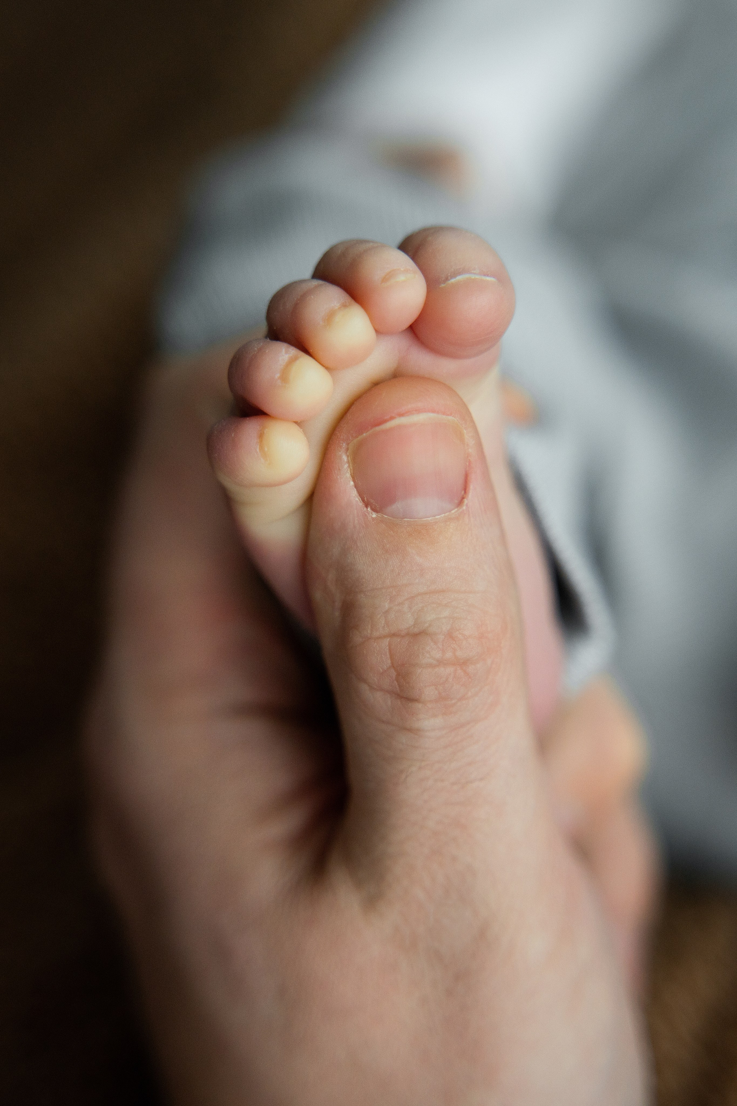 Пакет № 3 Премиум. Фотограф Москва Подольск МО