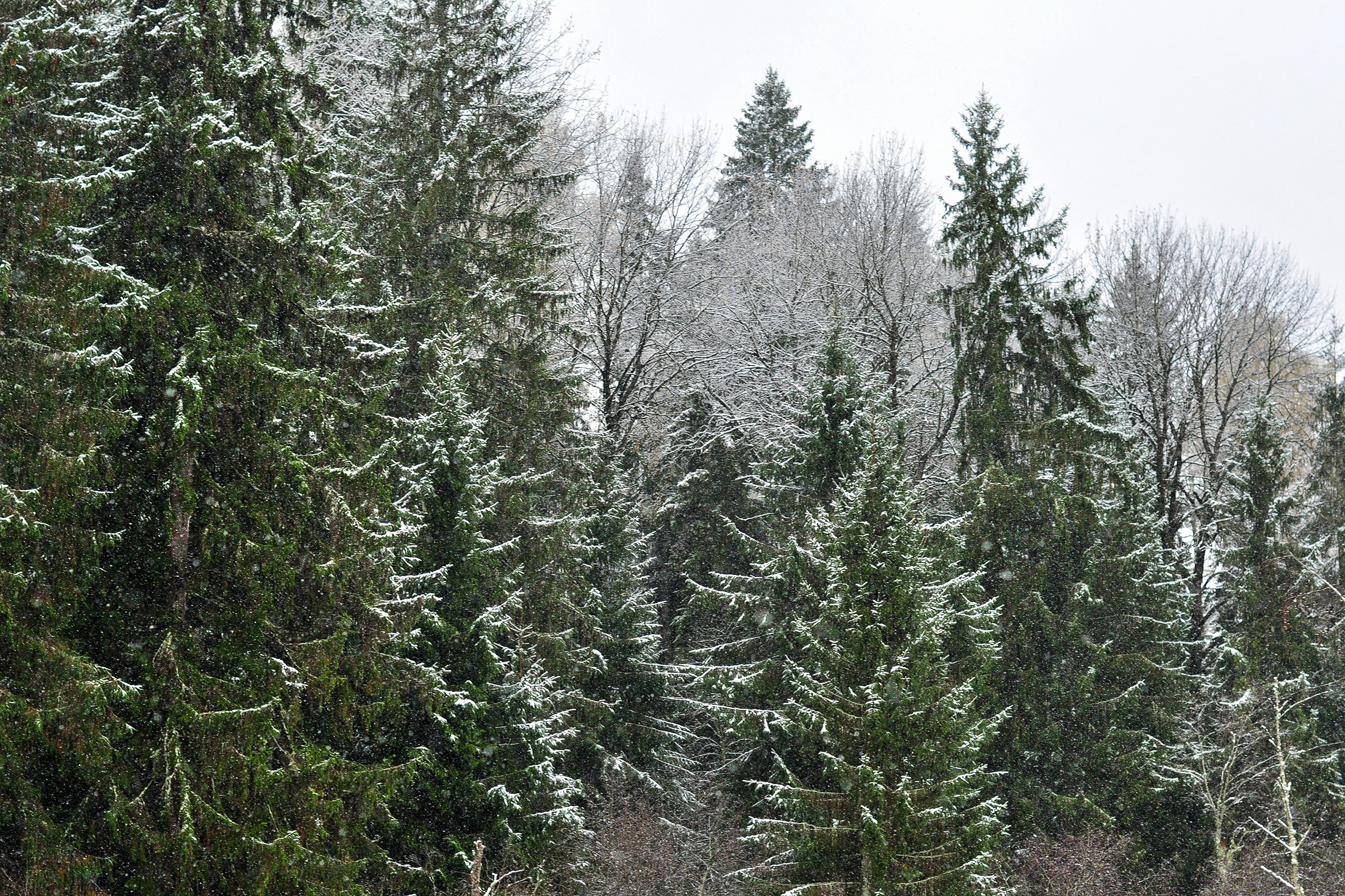 Landscape фото. Фотограф и художник Kerry Moore