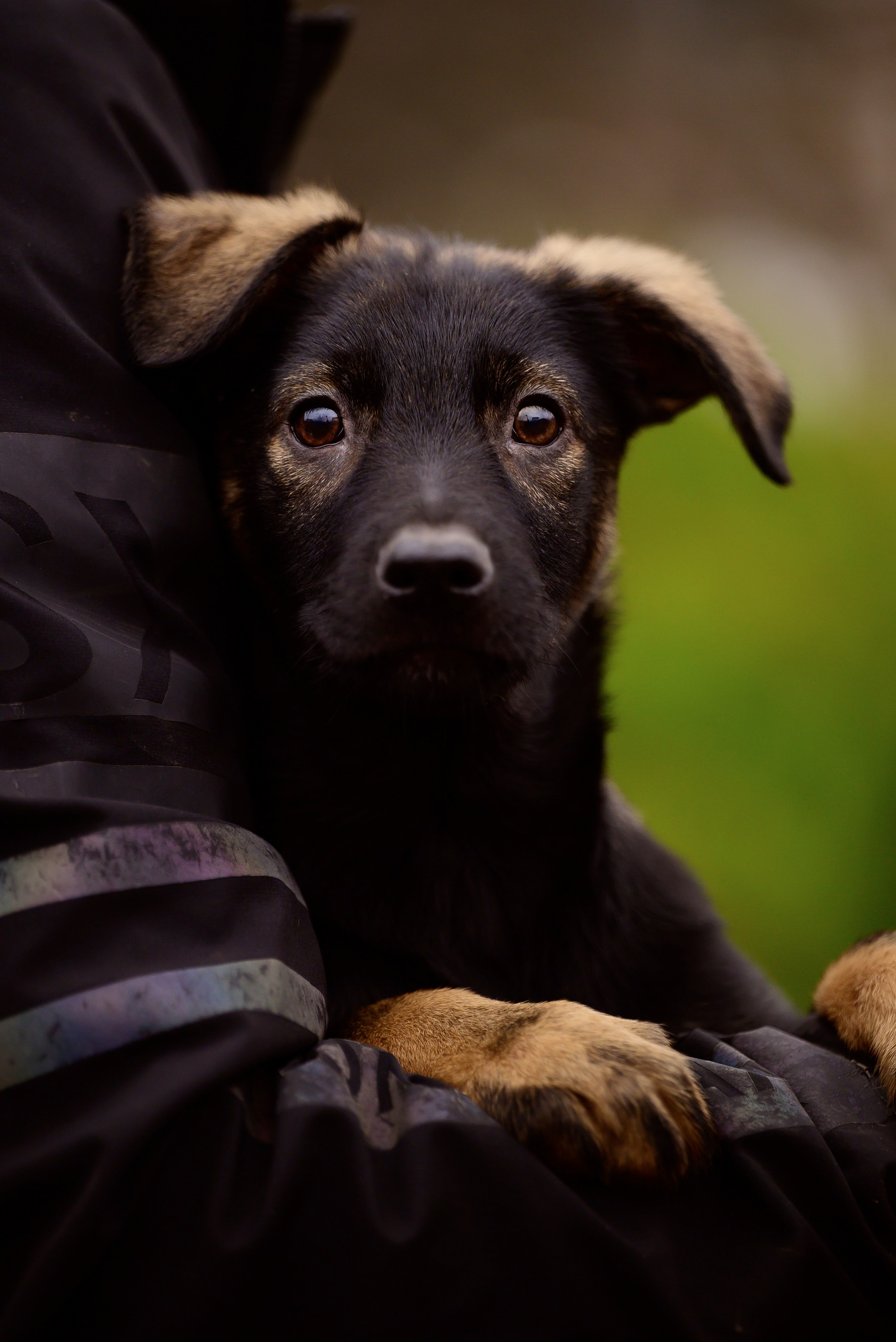 Круассанчики. Мила Астахова