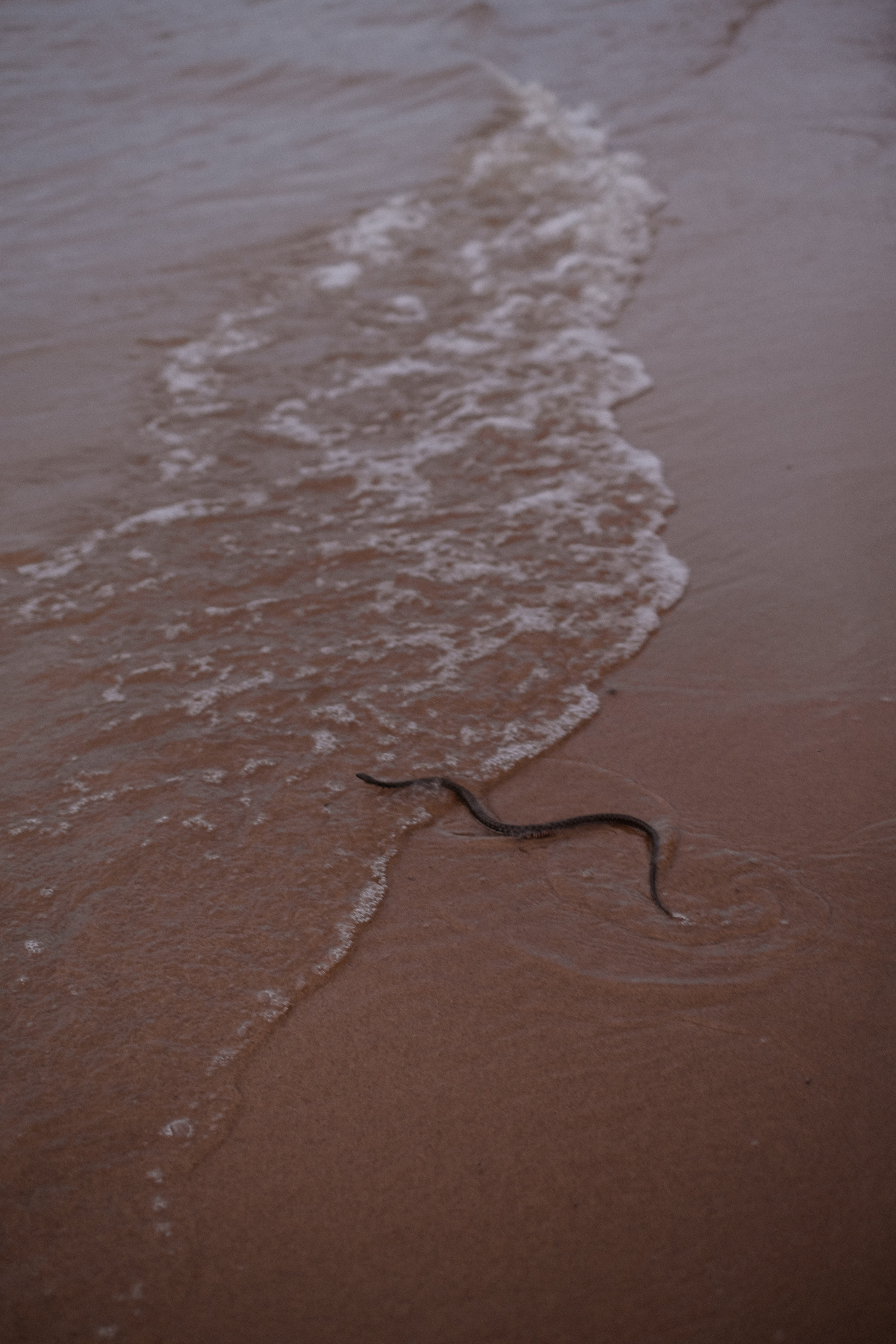 Варя + Владимир. Свадебный и семейный фотограф г. Волгоград Биленко Ангелина