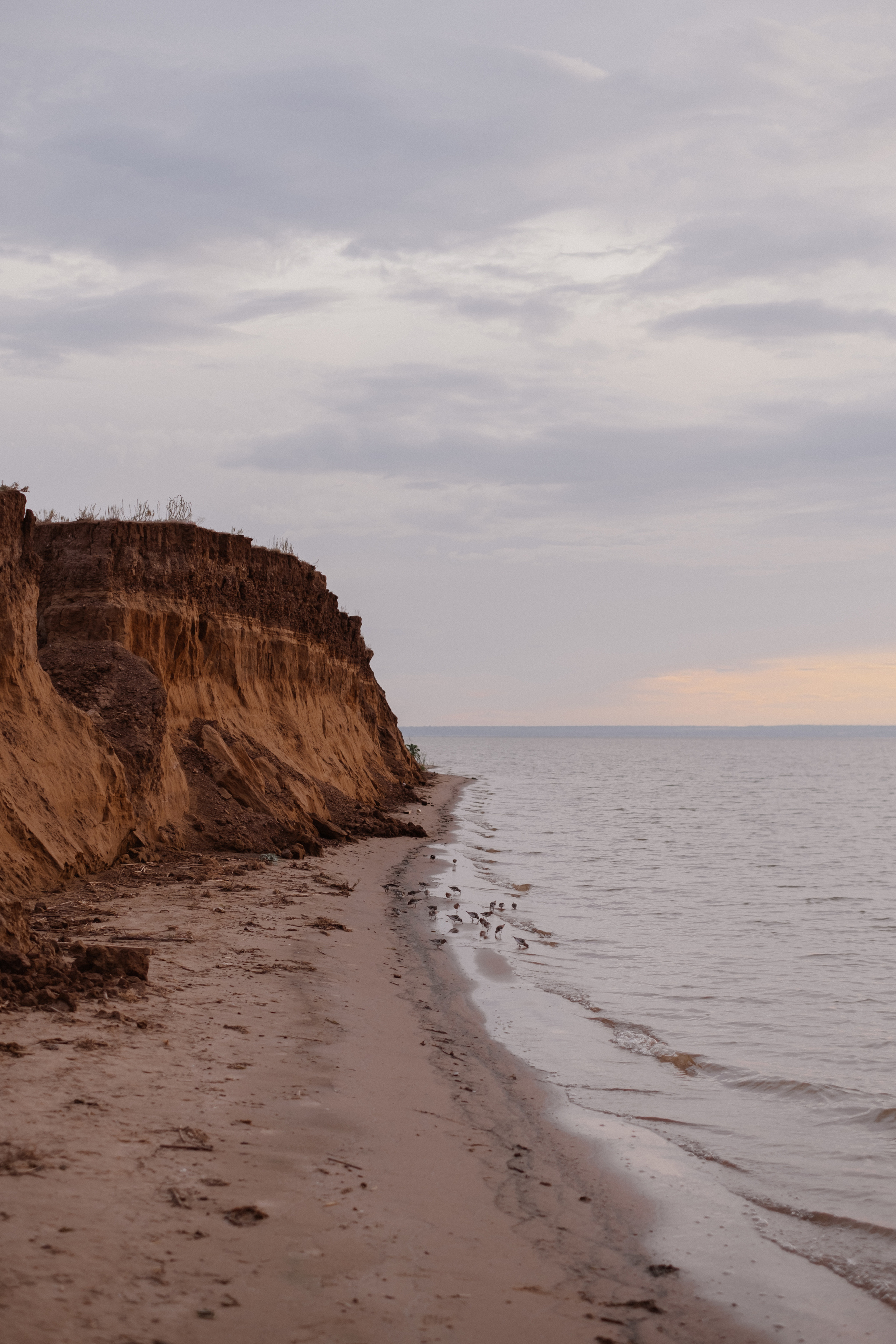 Варя + Владимир. Свадебный и семейный фотограф г. Волгоград Биленко Ангелина