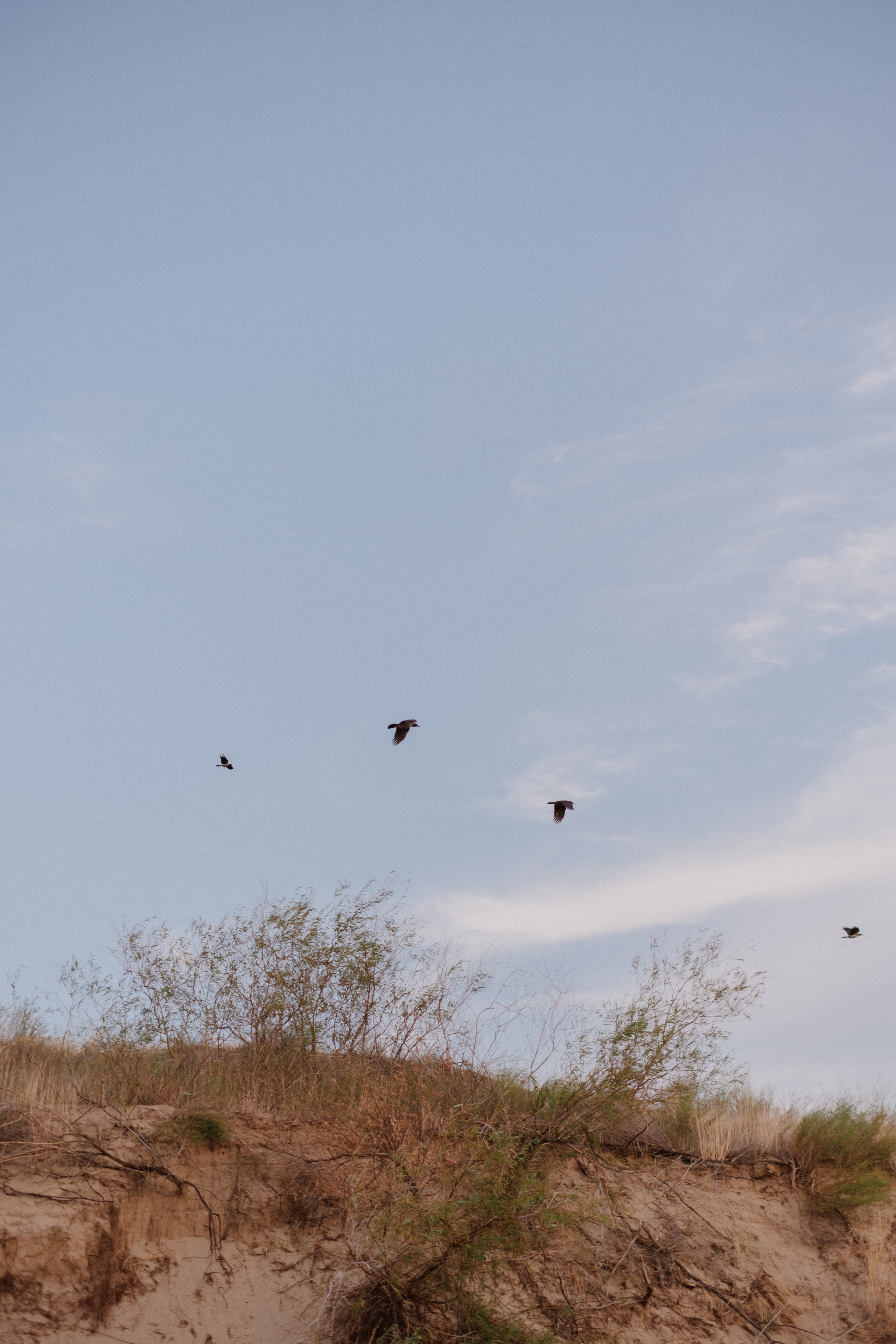 Пляжная фотосессия Любовь + Дима + Тима. Свадебный и семейный фотограф г. Волгоград Биленко Ангелина