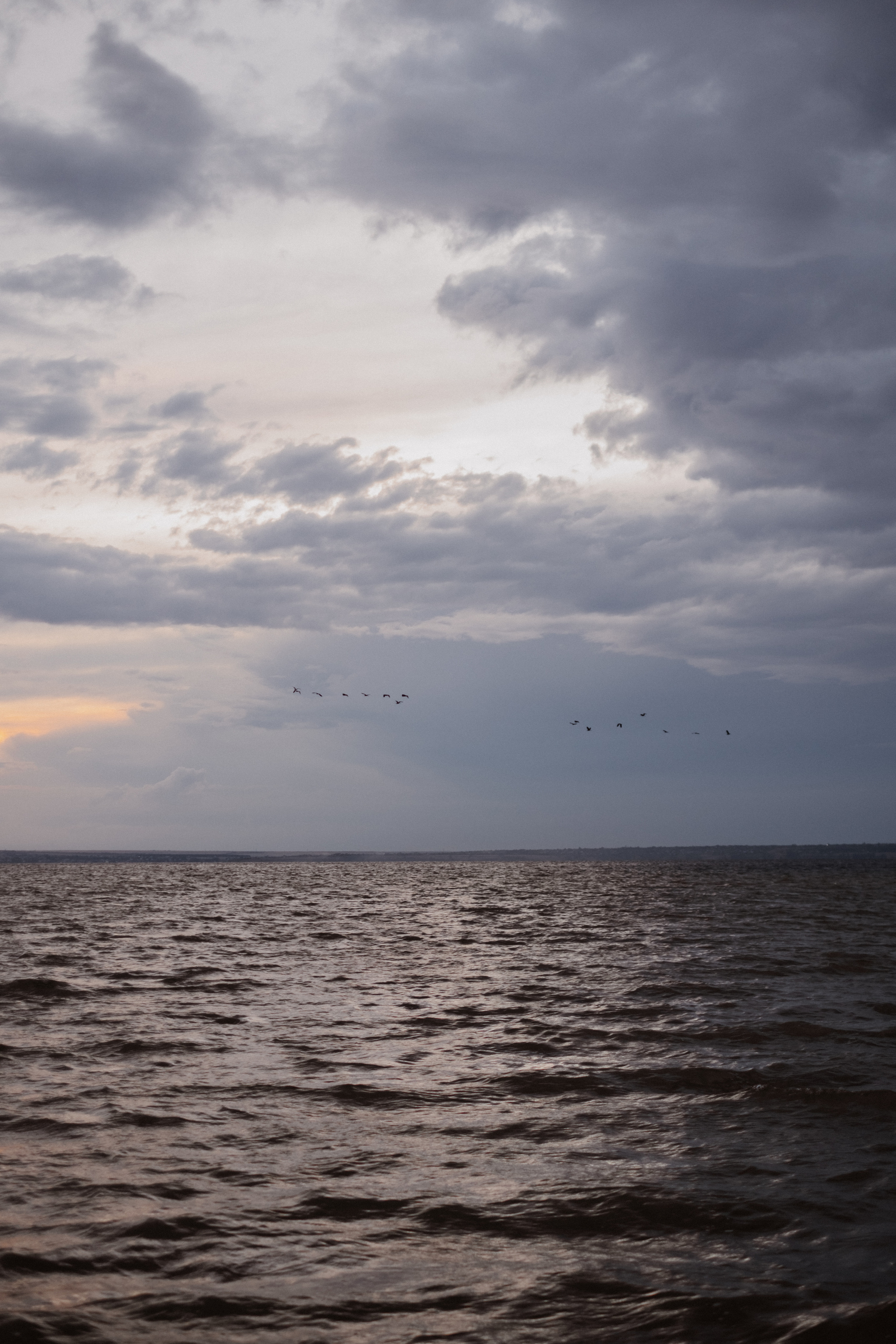 Варя + Владимир. Свадебный и семейный фотограф г. Волгоград Биленко Ангелина