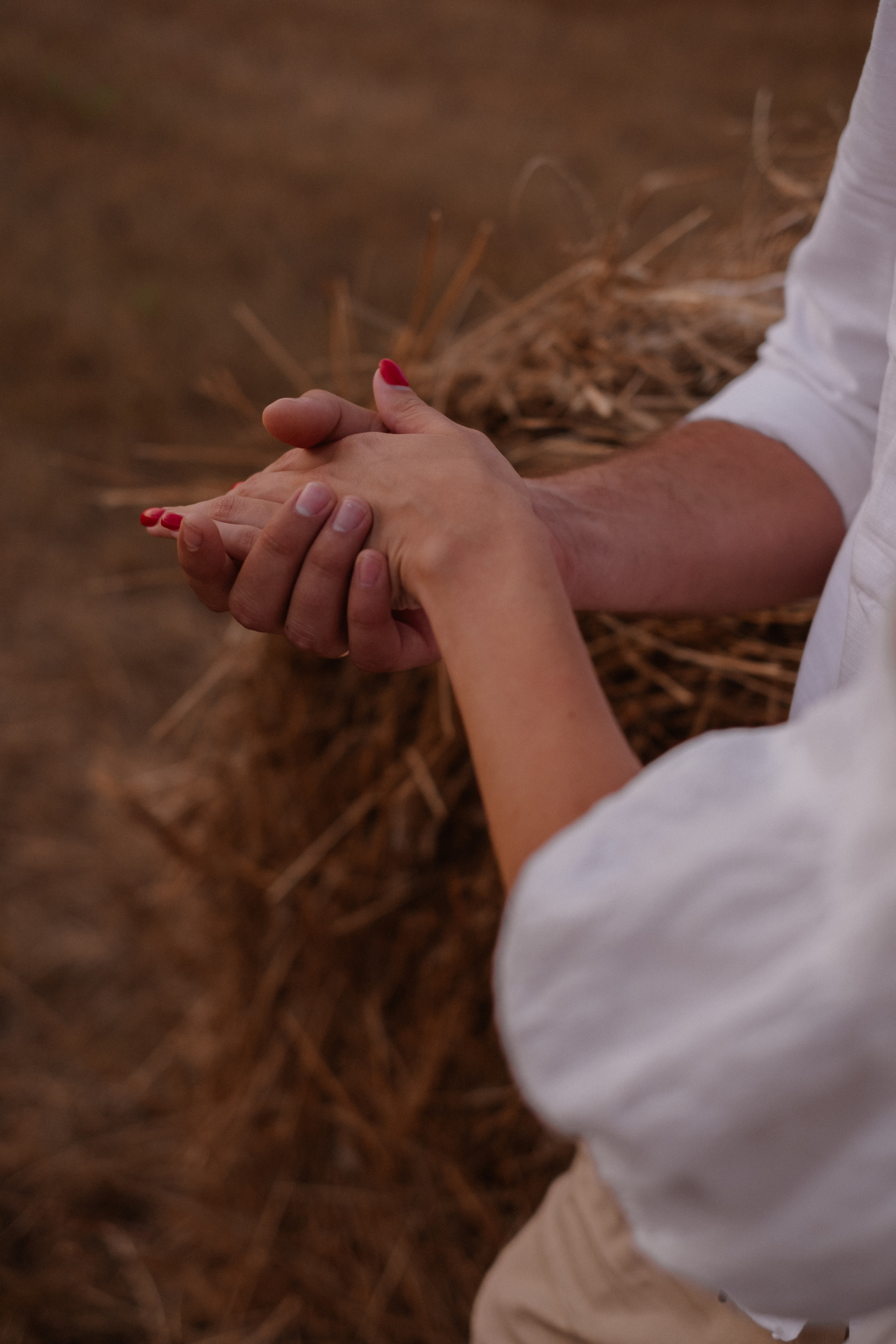 В поле Ксюша + Саша + Кира. Свадебный и семейный фотограф г. Волгоград Биленко Ангелина