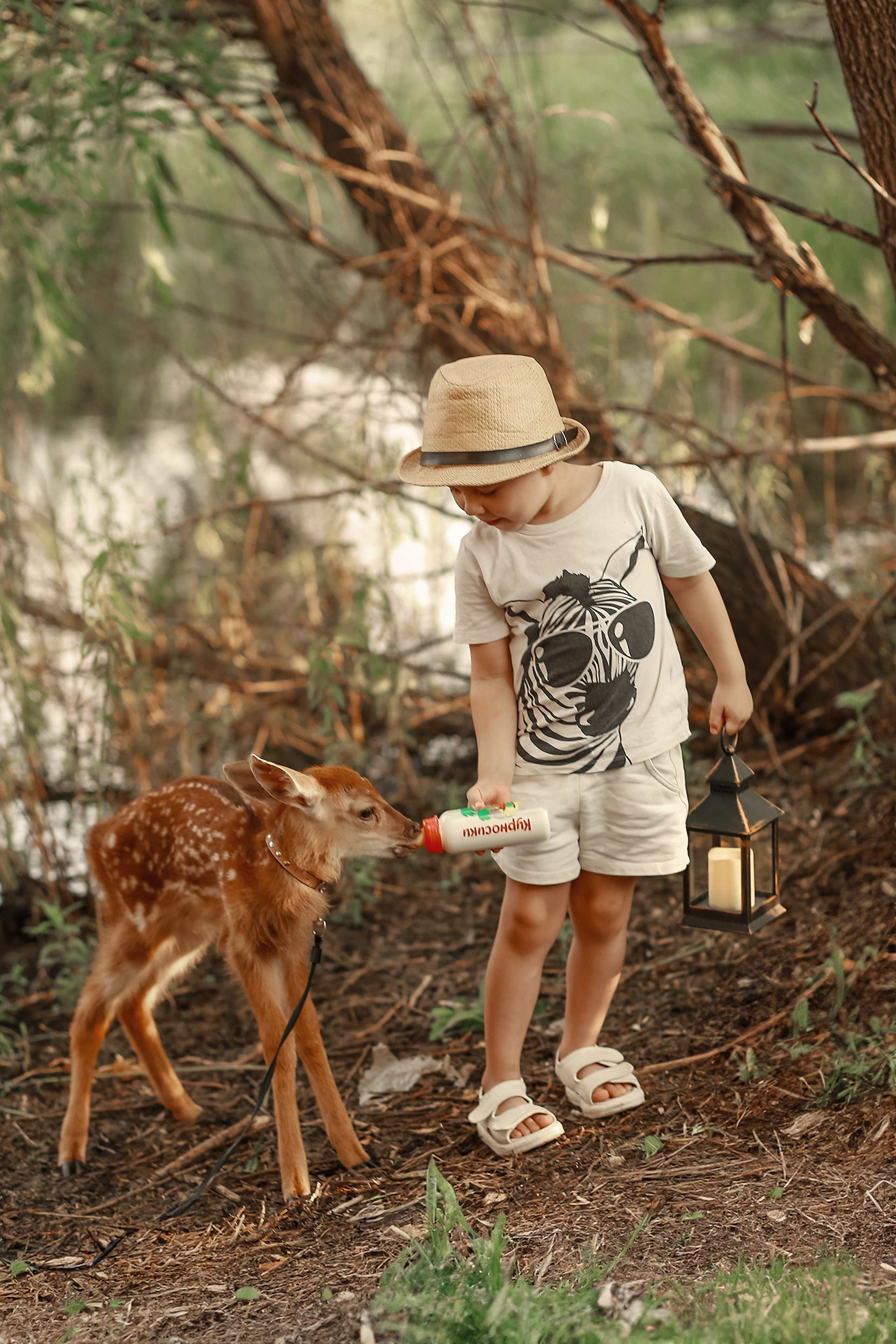Фотосессия с олененком Бэмби. Иванова Ирина Свадебный и семейный фотограф г. Уфа