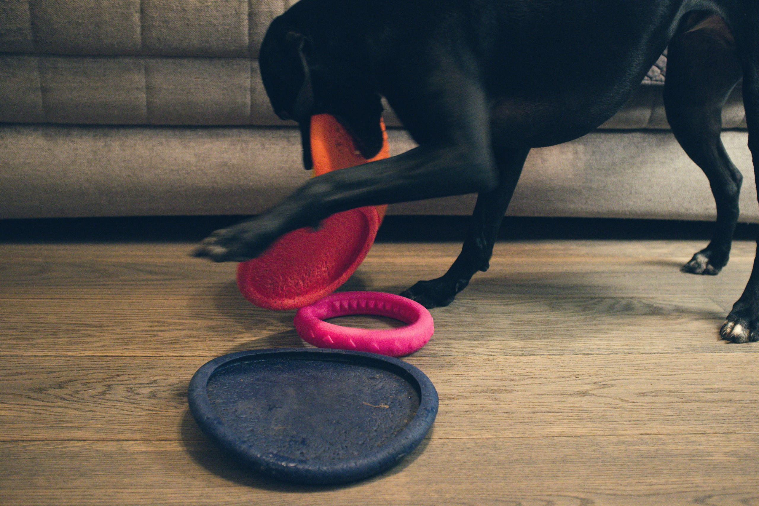 Чина и её люди. Дмитрий Бречалов