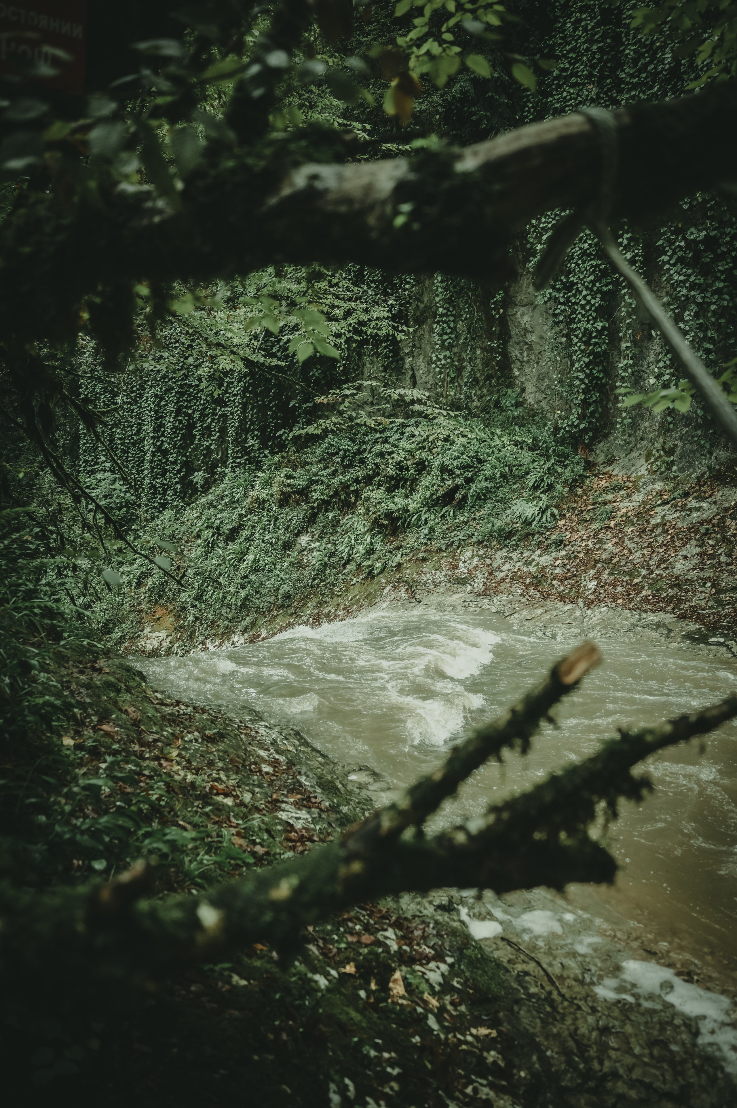 Абхазия. Женский фотограф Крещение Венчание Москва Брянск
