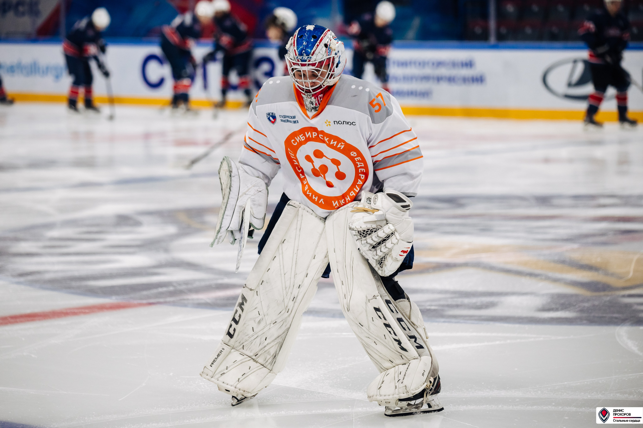 «Стальные сердца» — «СФУ» // 07-08.02.25. Денис Прохоров Фотограф в г. Магнитогорск