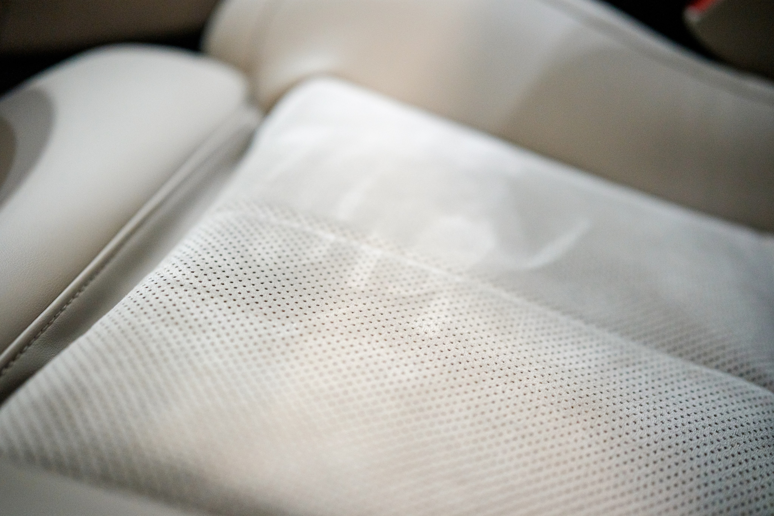 Кэдди. Алексей Никифоров фотограф Москва, Химки