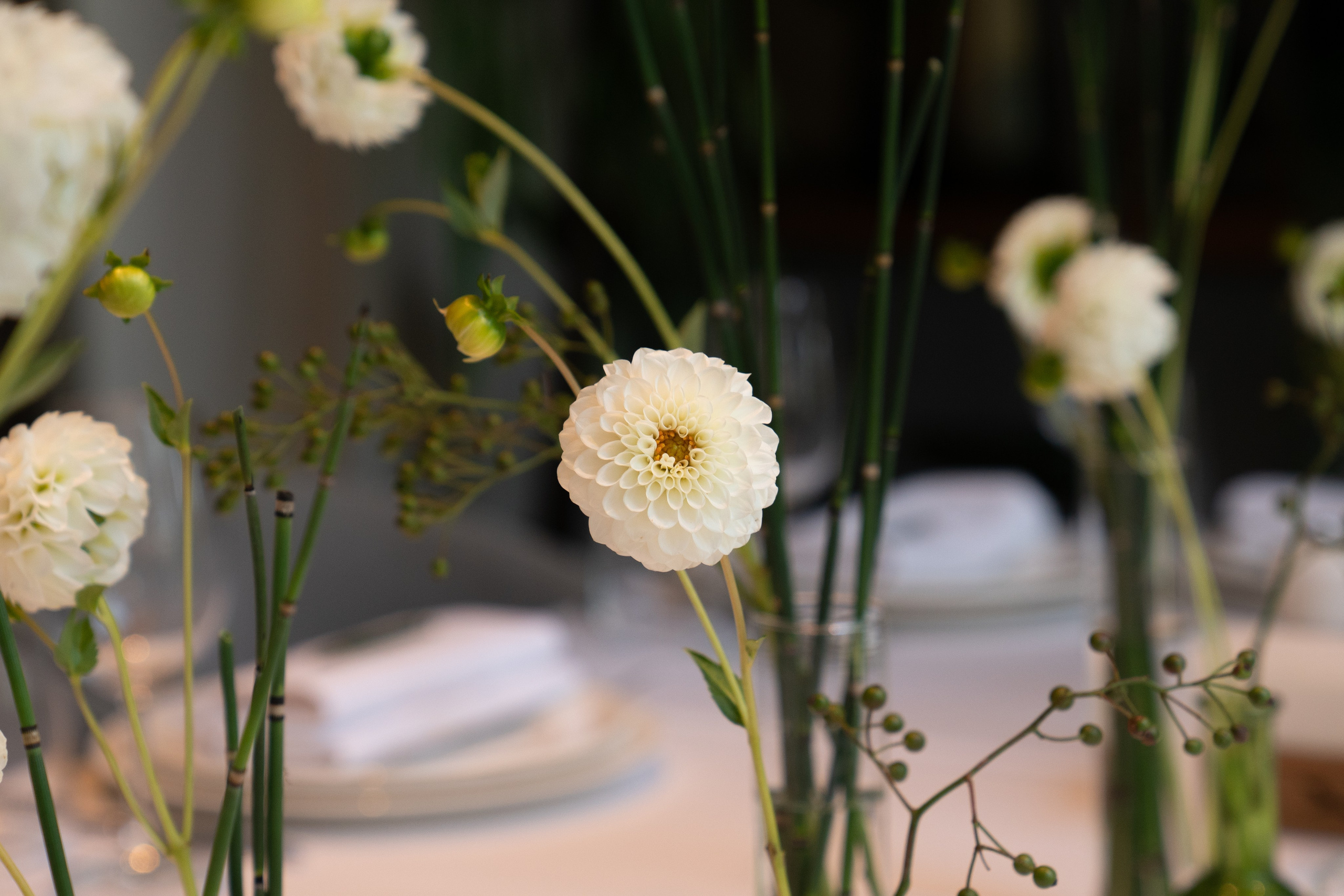 Елена & Сергей. Оформление свадеб, декор свадеб Вера Маркова, Москва