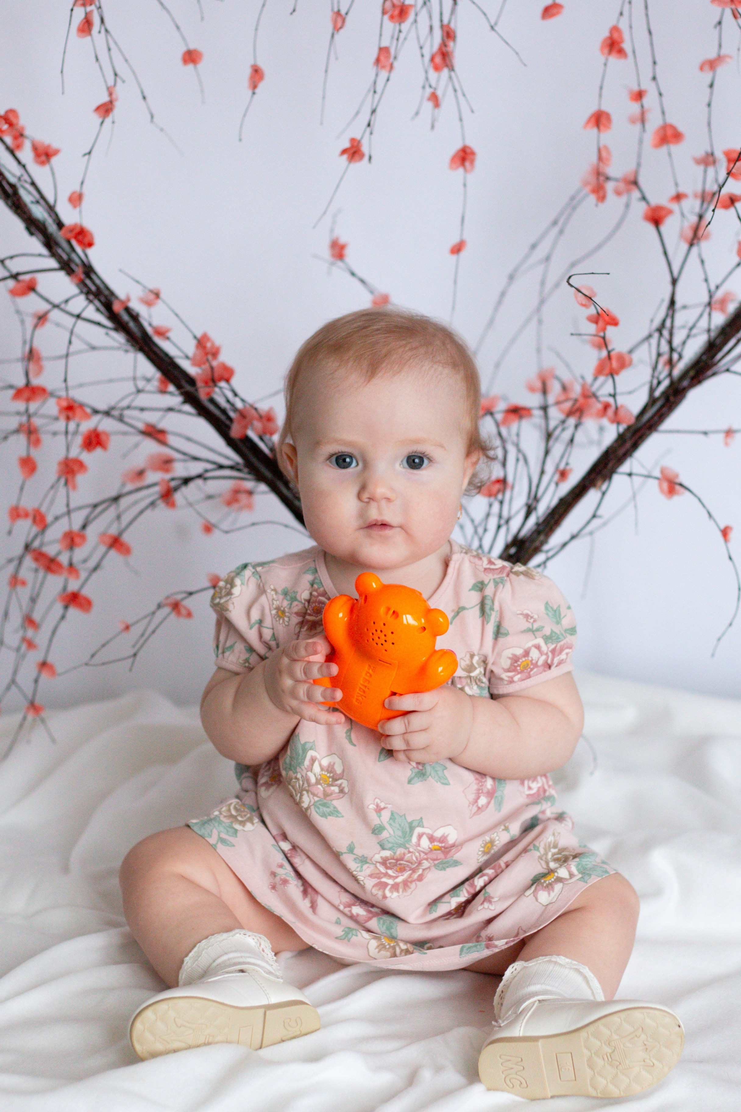 Сердце (14 февраля)