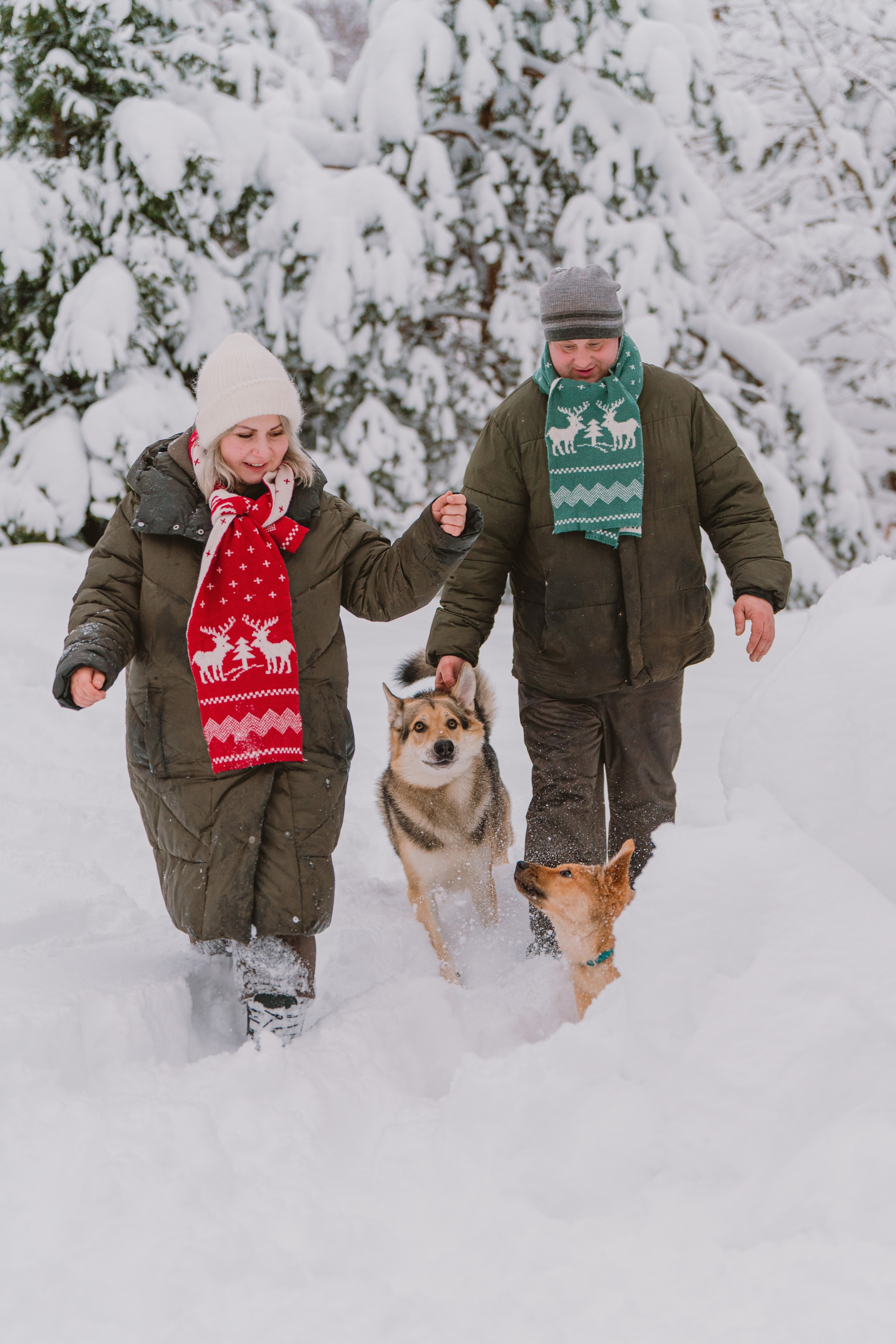 Фотосессия с питомцами на природе. Фотограф анималист в Спб недорого Олеся Майорова