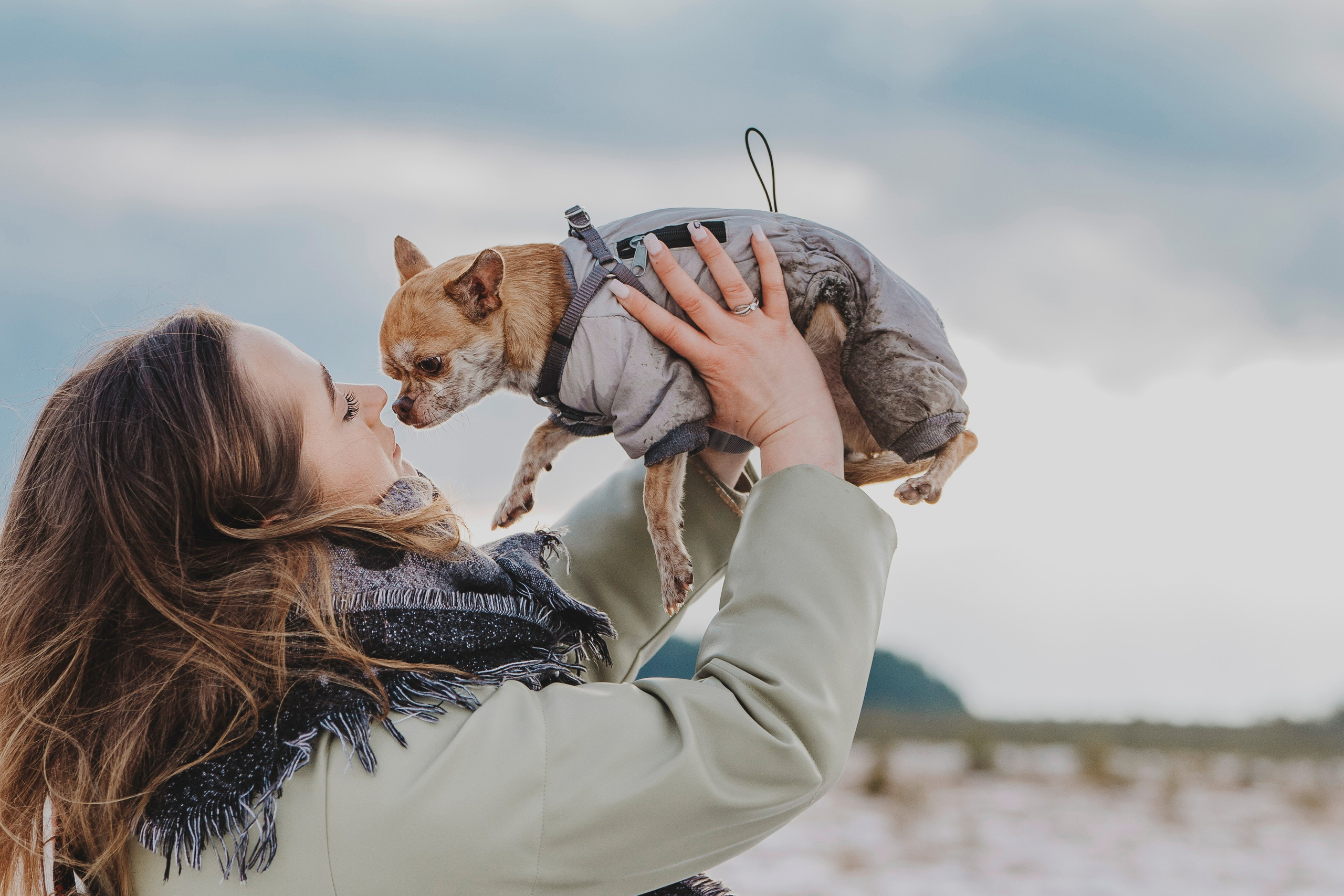 Наталия и Боря. Фотограф анималист в Спб недорого Олеся Майорова
