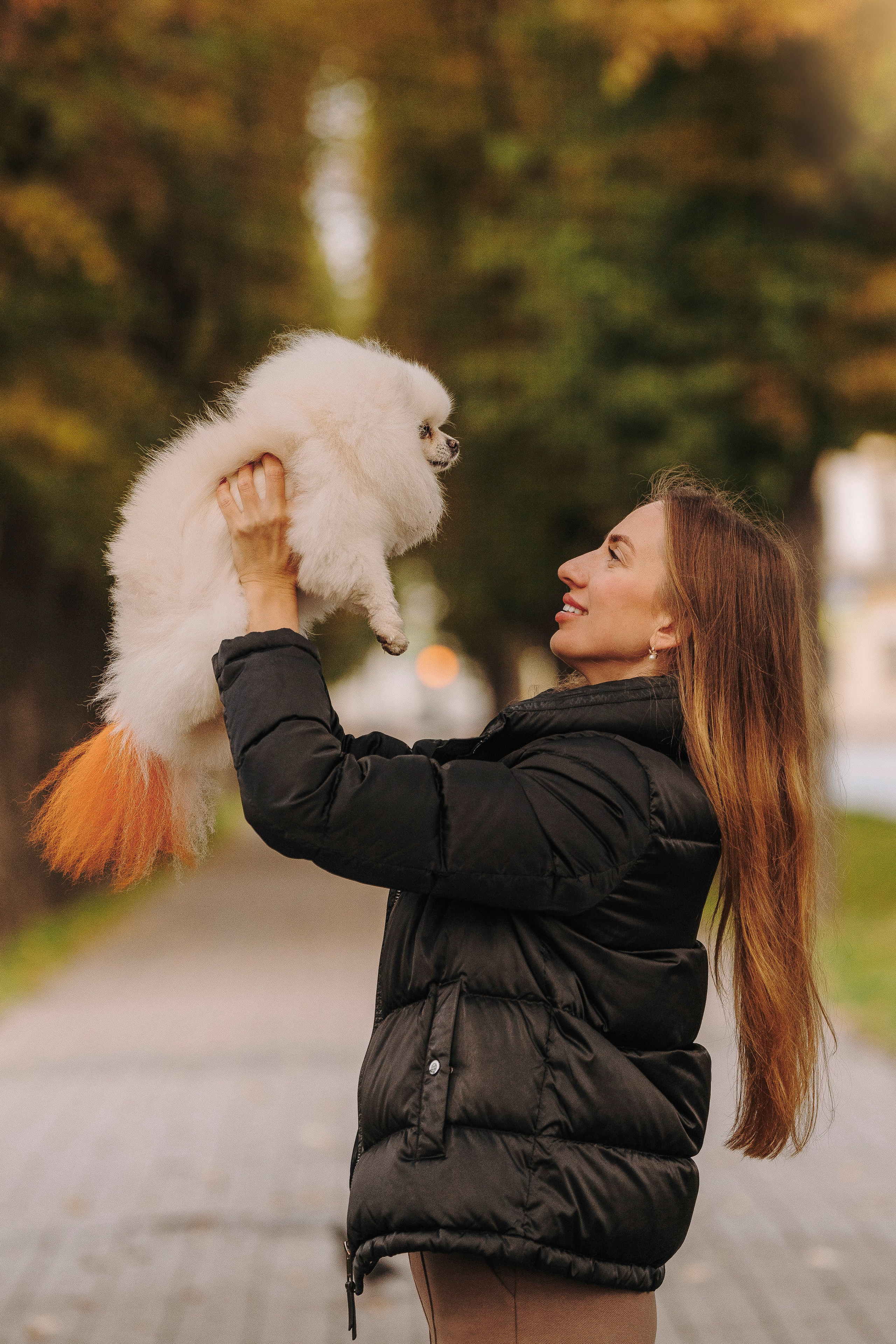 Фотосессия с померанским шпицем. Фотограф анималист в Спб недорого Олеся Майорова