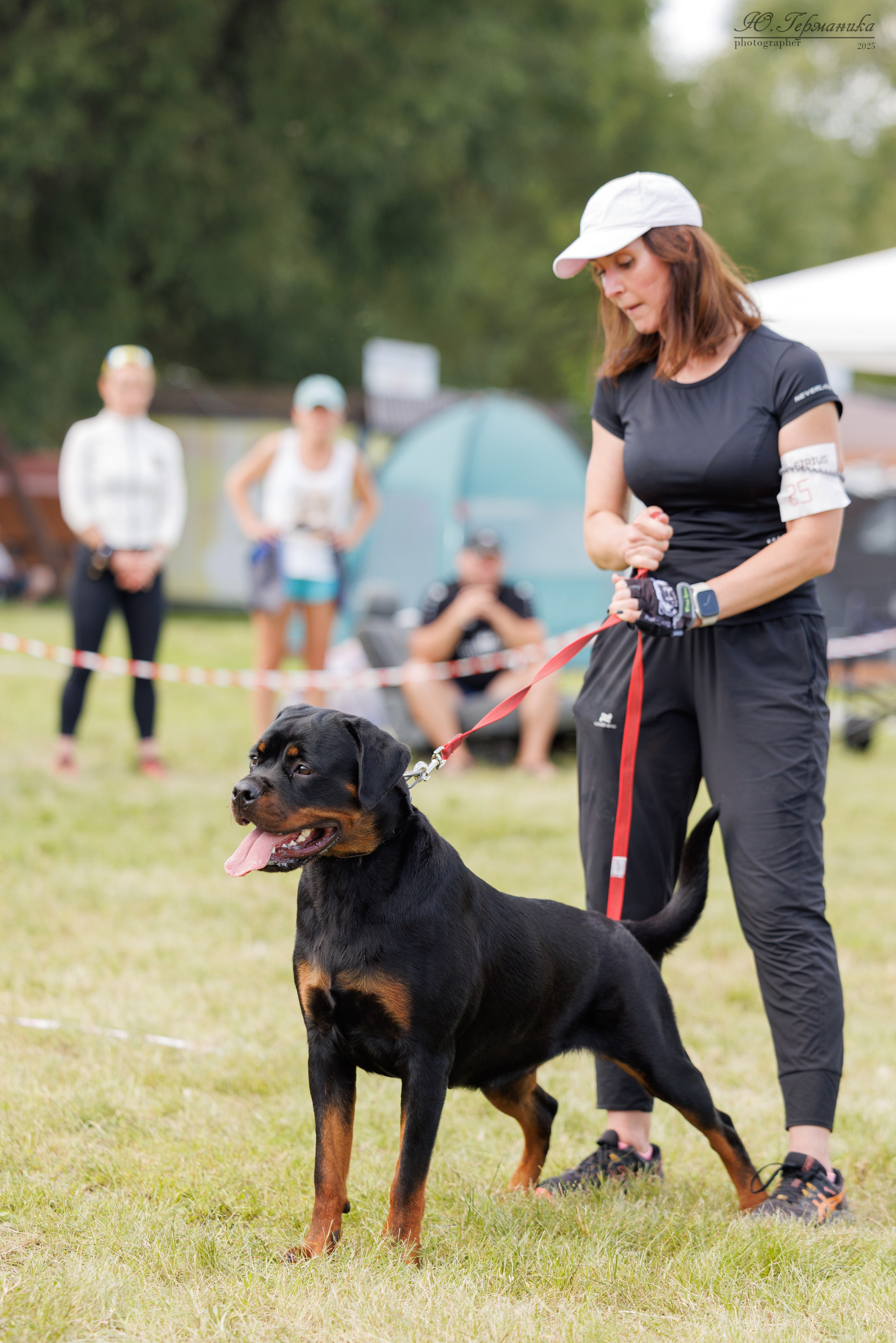 Рязань 2хмоно ротвейлеры 16-17.08.2025. Фотограф-анималист Юлия Германика