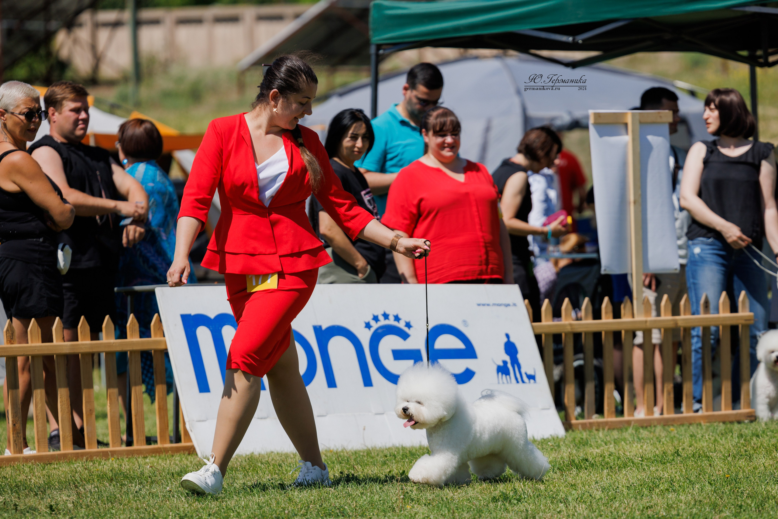Ереван 3-5.06.2024. Фотограф-анималист Юлия Германика