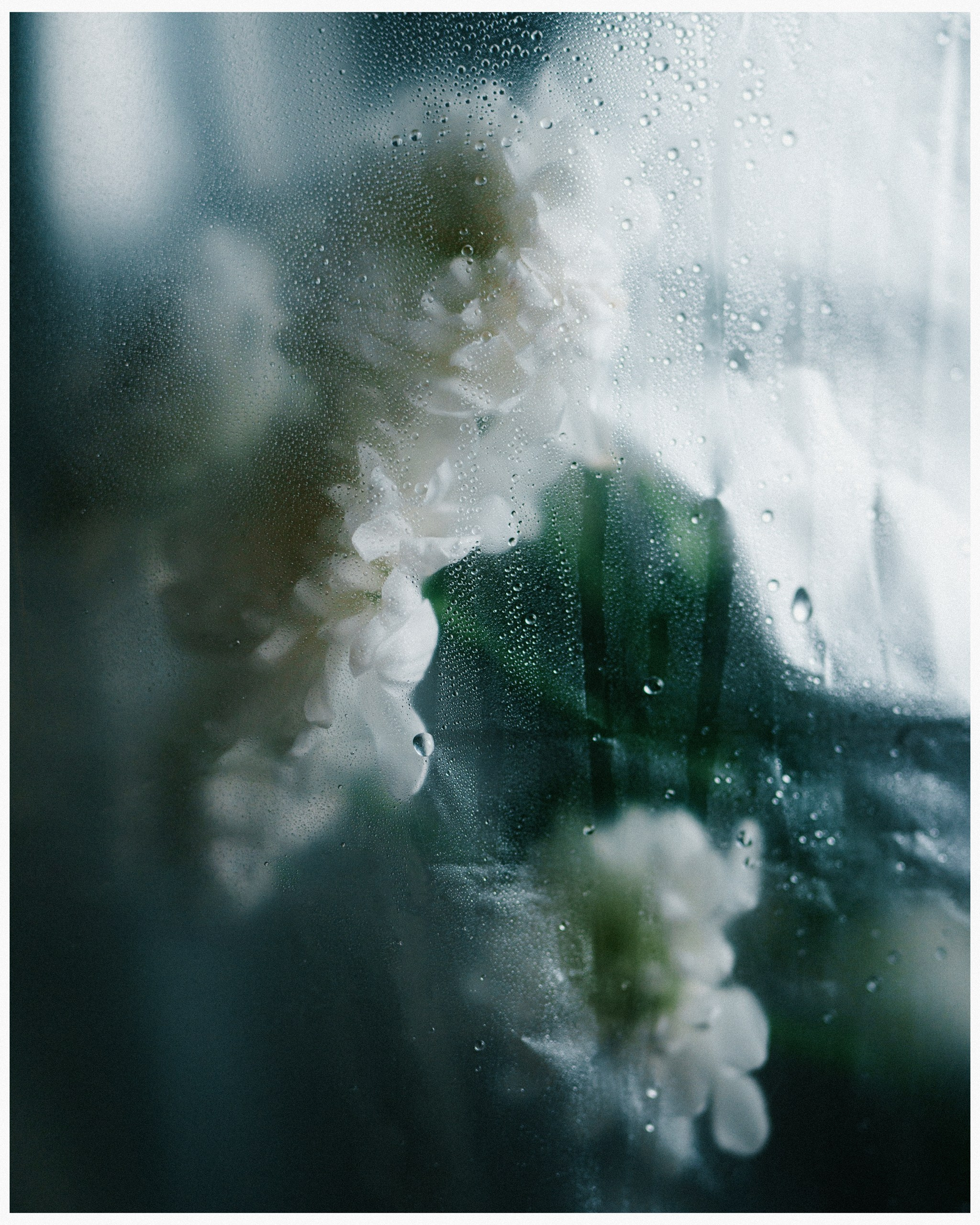 Nastya. Асхат Бардынов