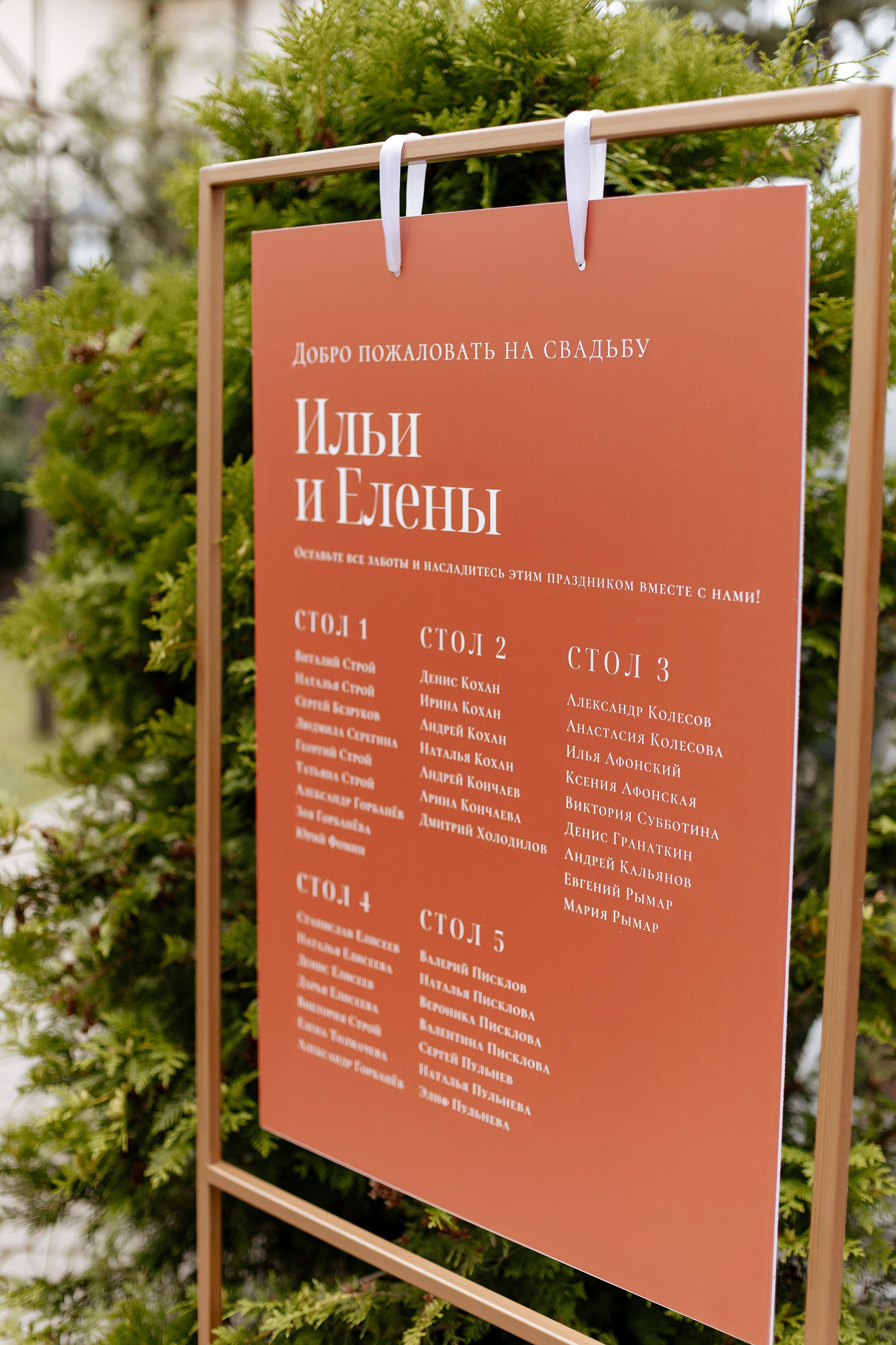 Елена и Илья. Свадебный фотограф Анастасия Пелевина