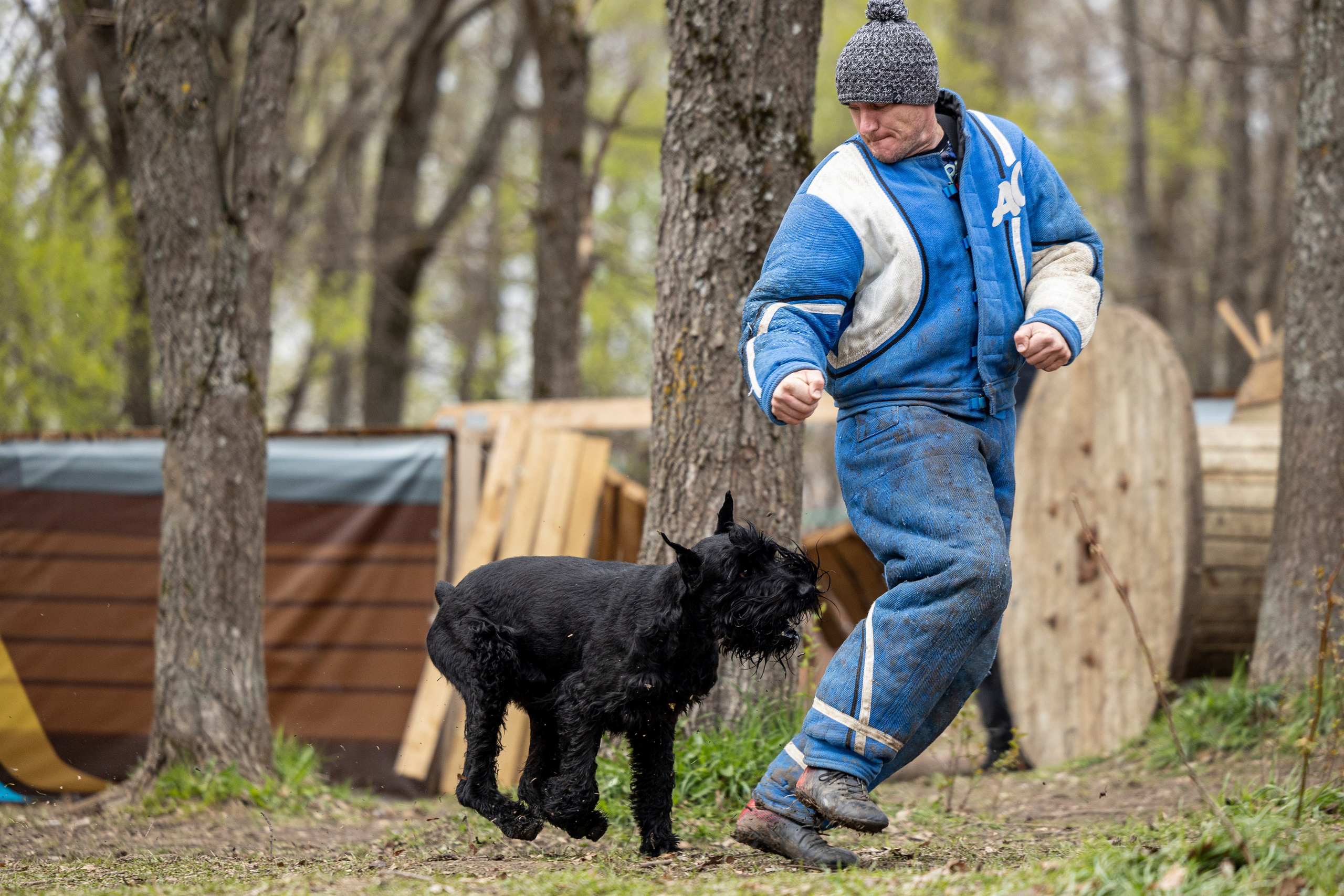 Квалификационные состязания по мондьорингу г. Вологда 11.05.24. Фотограф-анималист Анна Маринич