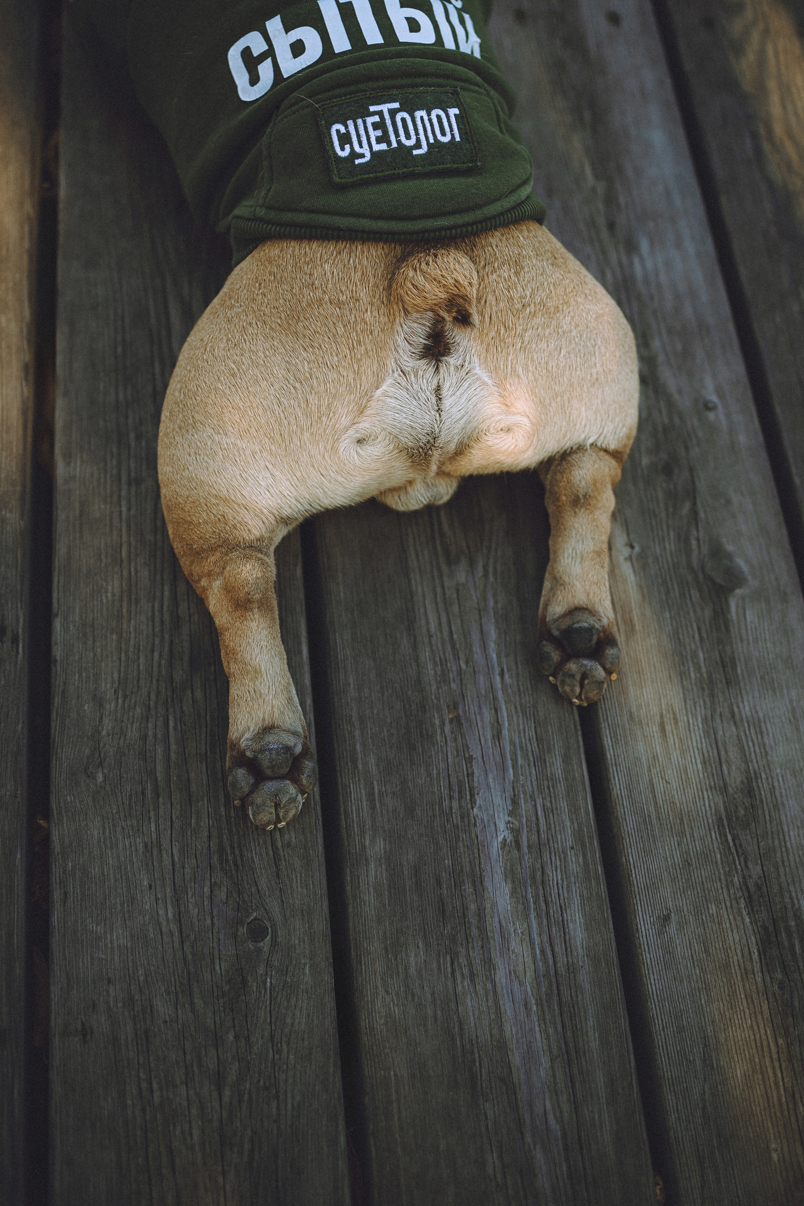 Настя, Женя и Хонор