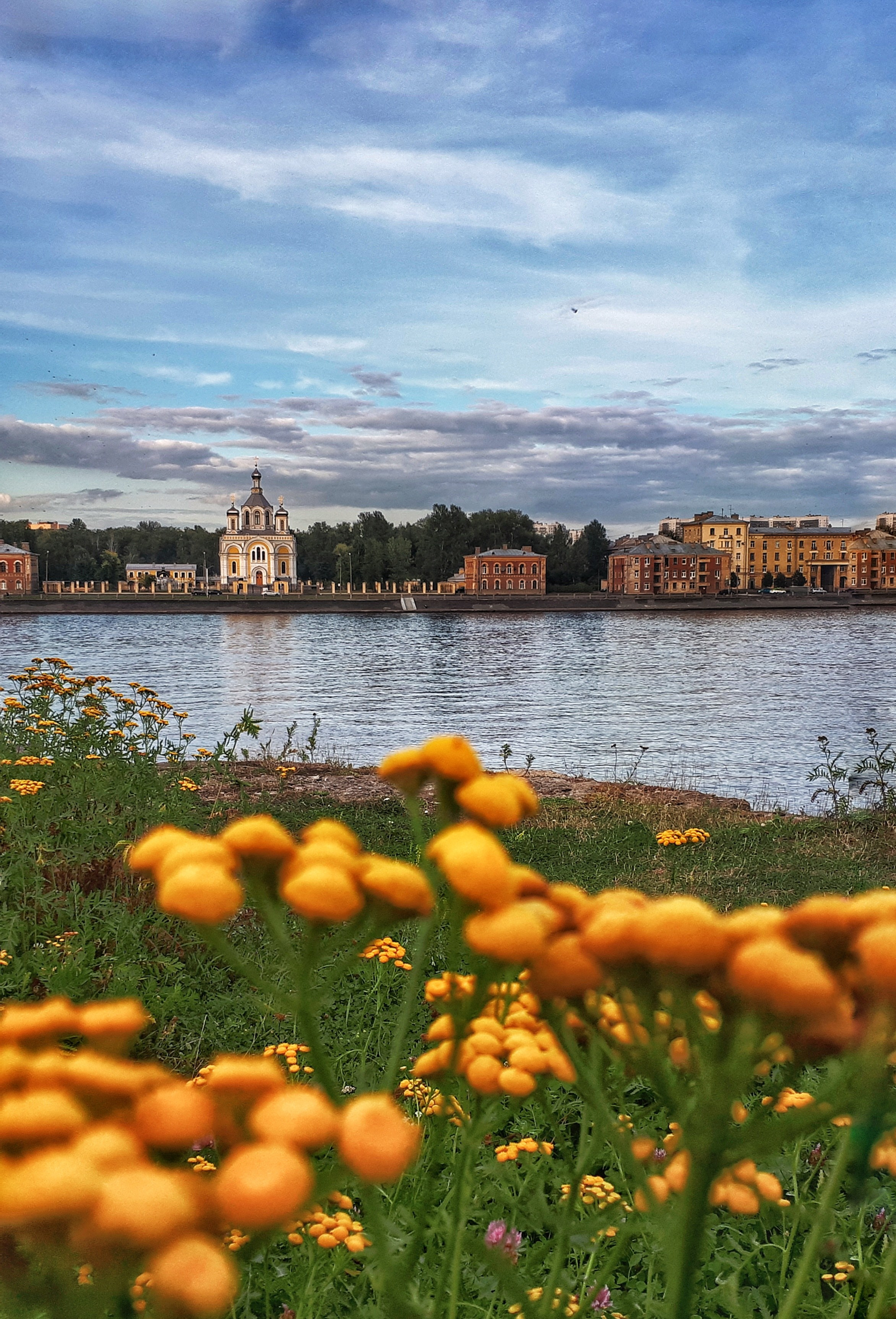 Фото на телефон. Фотошкола и фотокурсы в Абакане
