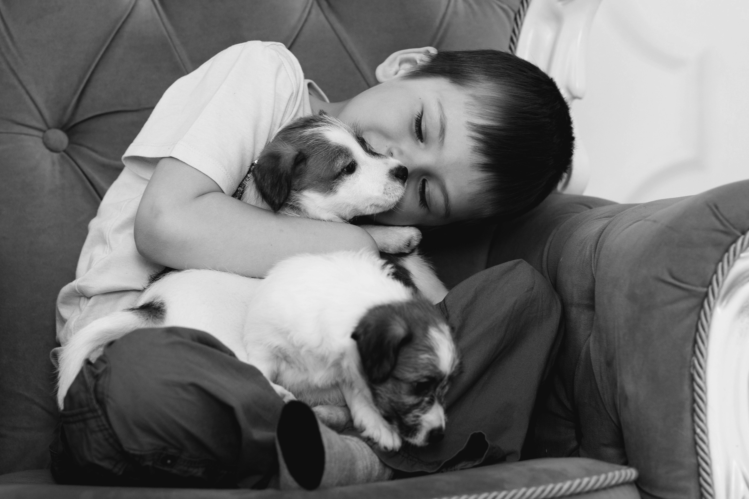 Художественная фотография людей и животных. Фотошкола и фотокурсы в Абакане