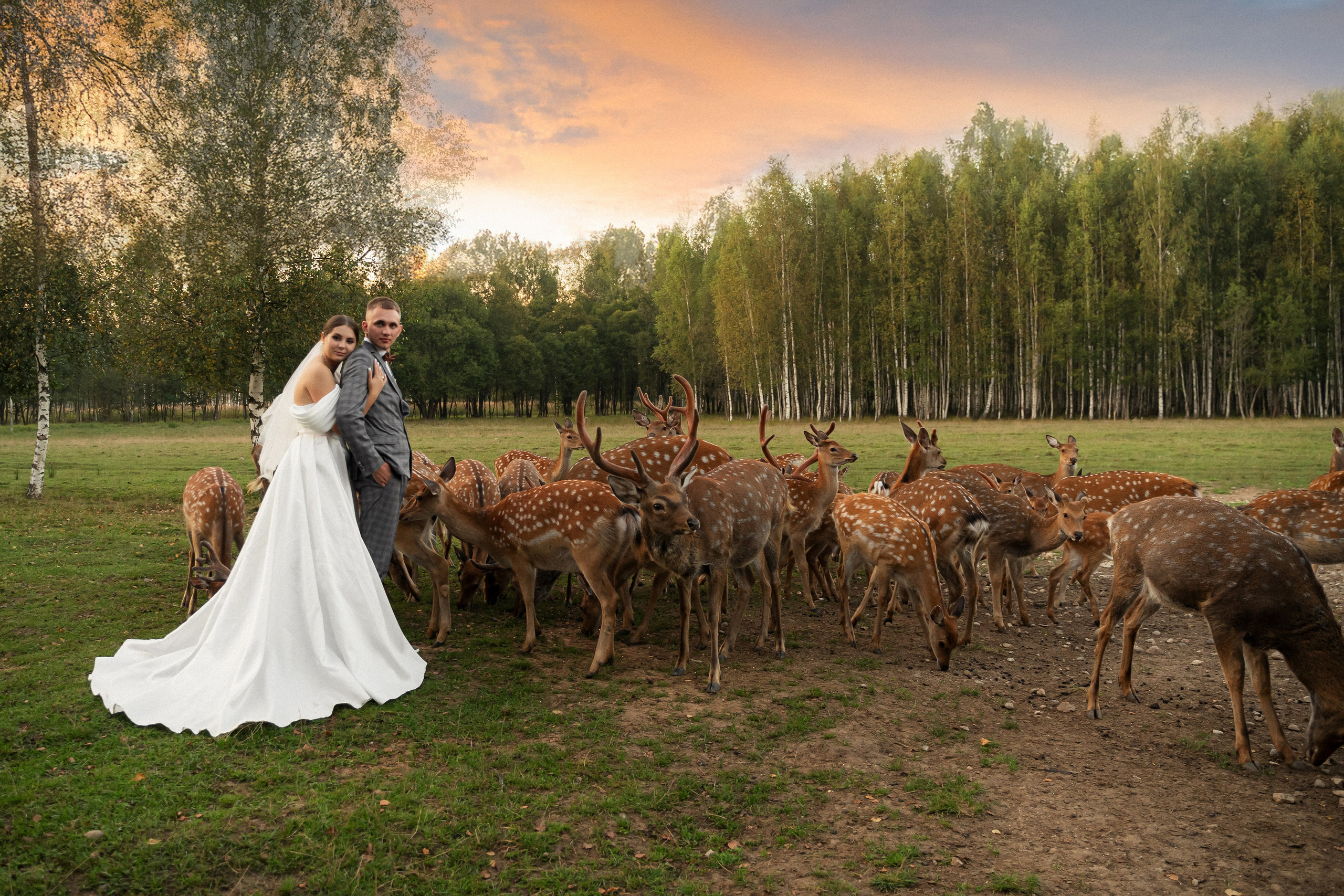 Алина и Сергей. Фотограф Алина Филимонова Тверь