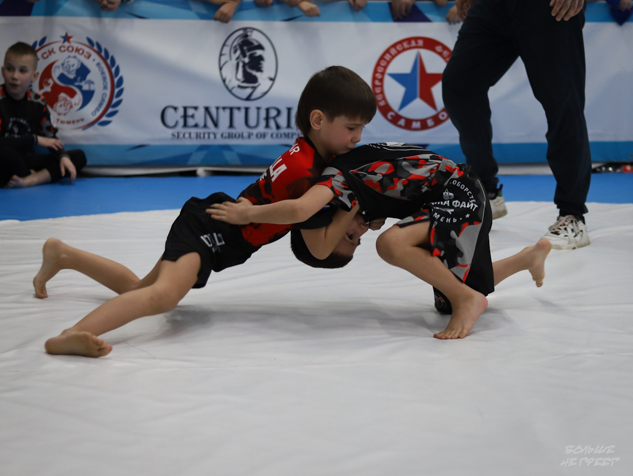 GORILLA PRIDE CUP. Больше не греет