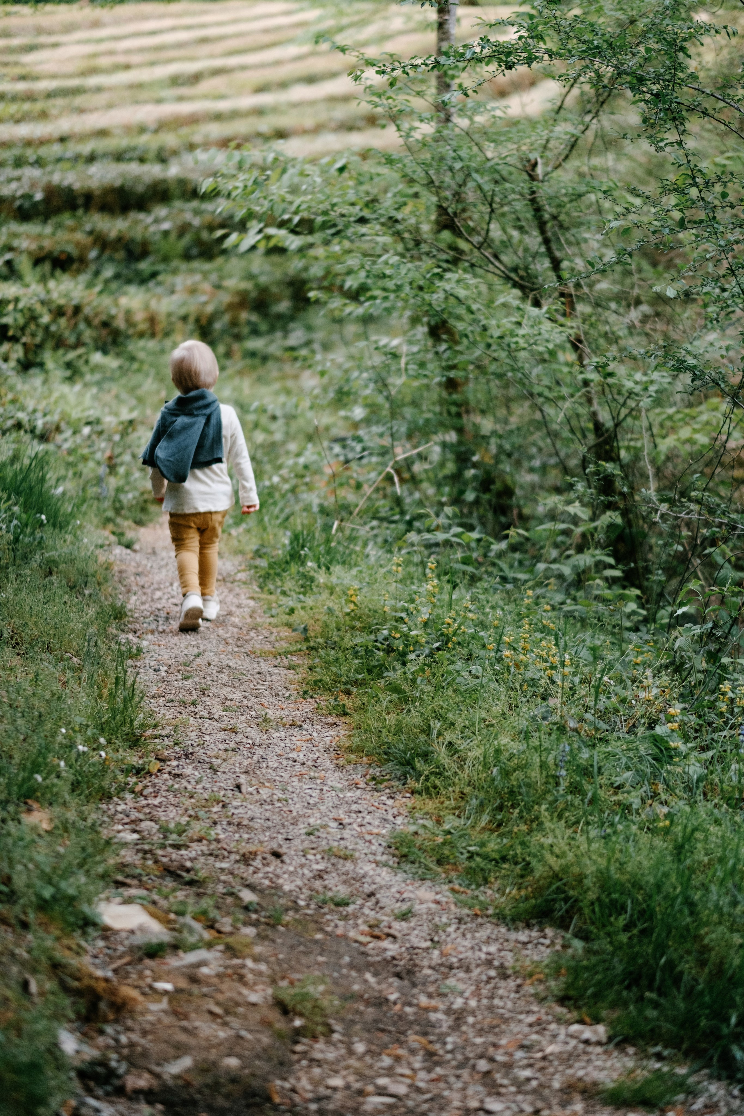 Дагомыские корыта. Свадебный Видеограф Фотограф в Сочи