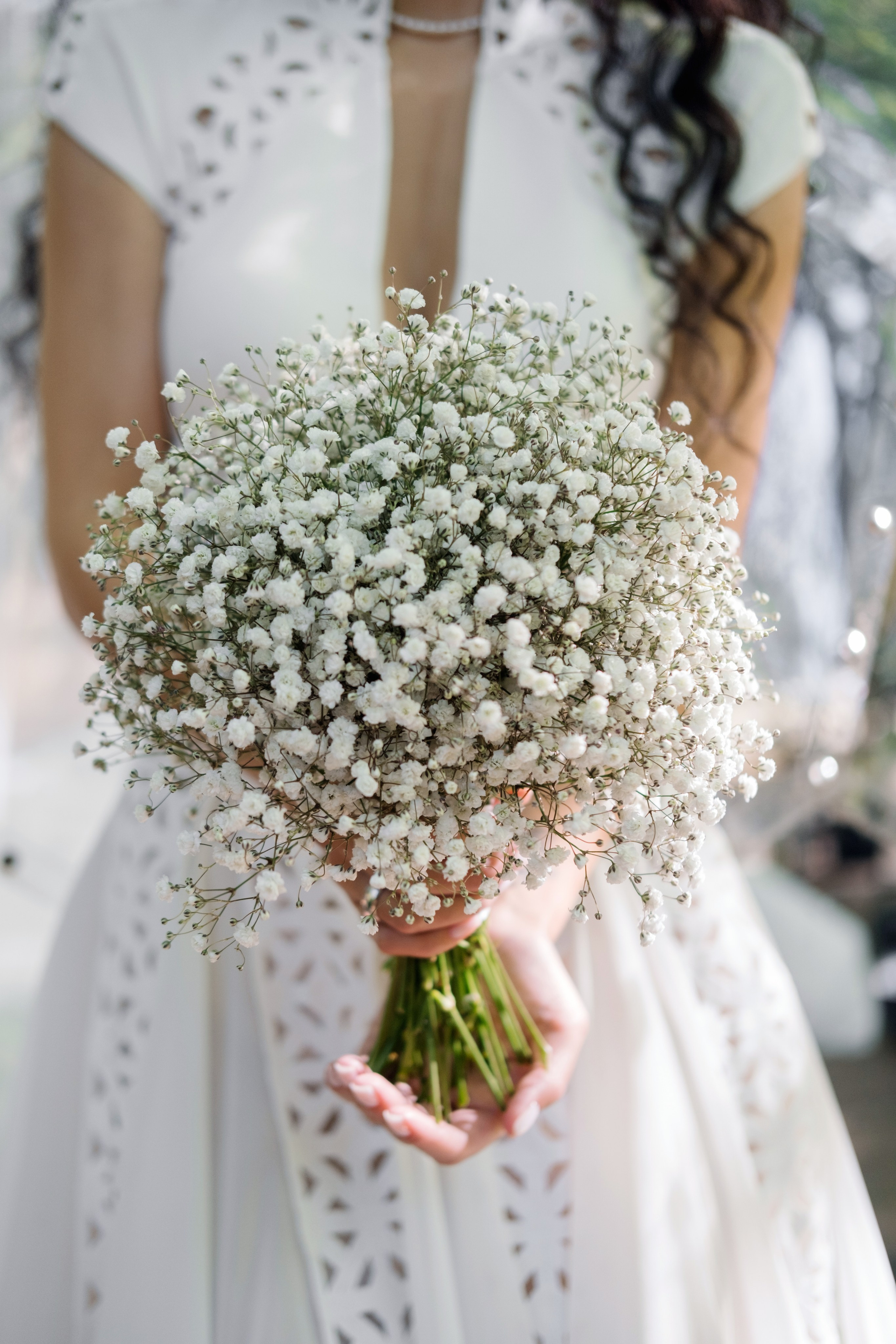 Кот и Дракон. Свадебный Видеограф Фотограф в Сочи