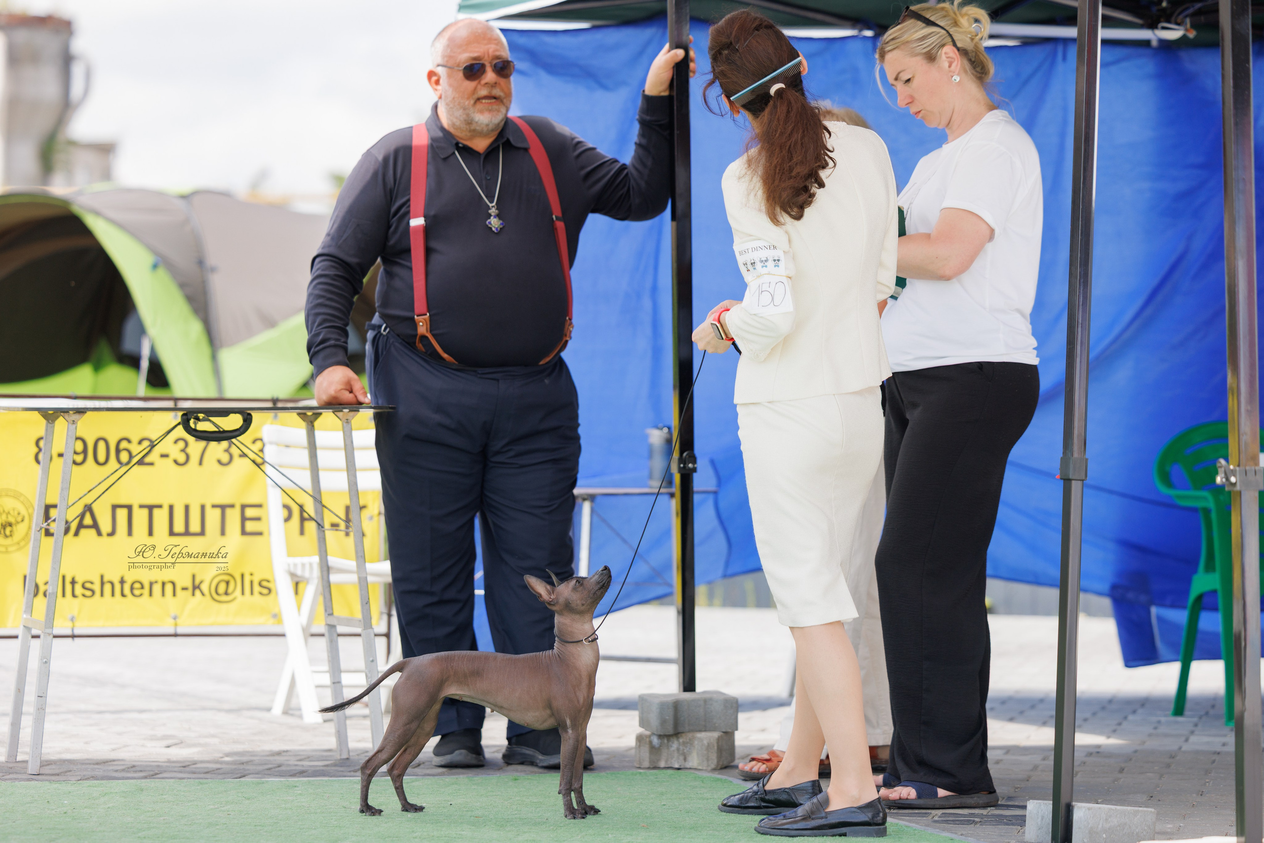 Калининград 25-27.07 Волгоград 1-3.08 2025. Фотограф-анималист Юлия Германика