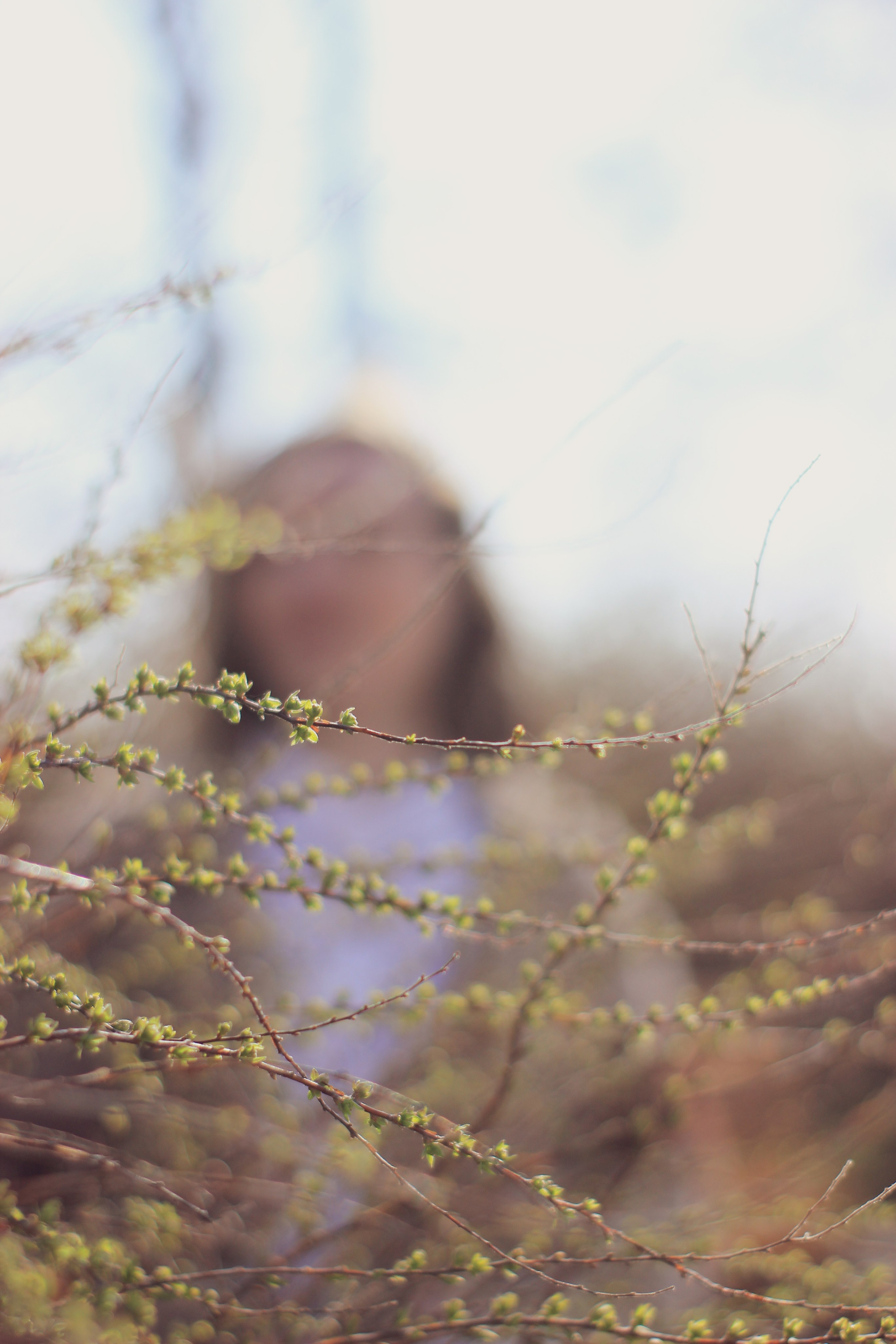 Фотопрогулка