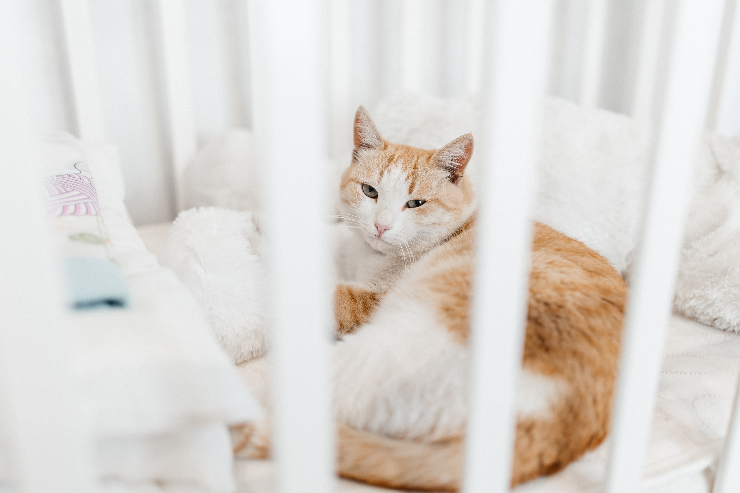 Рекламная съемка интерьера арендного дома. Фотограф и видеограф в Ульяновске Денис Власов