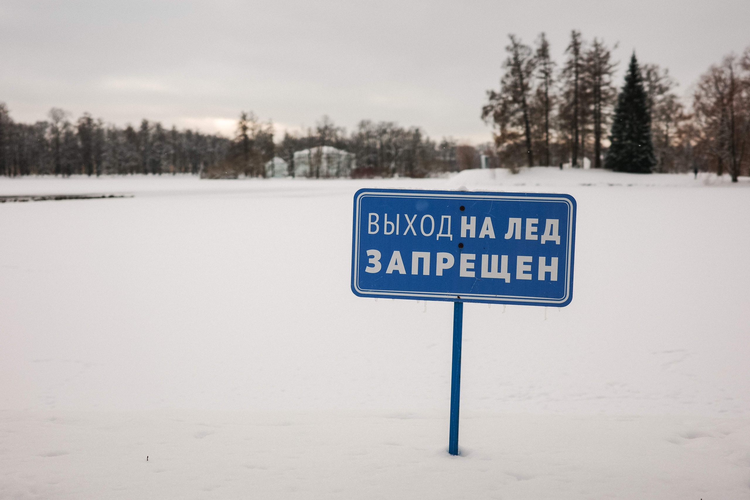 2025.02. Фотограф Алексей Алексеев