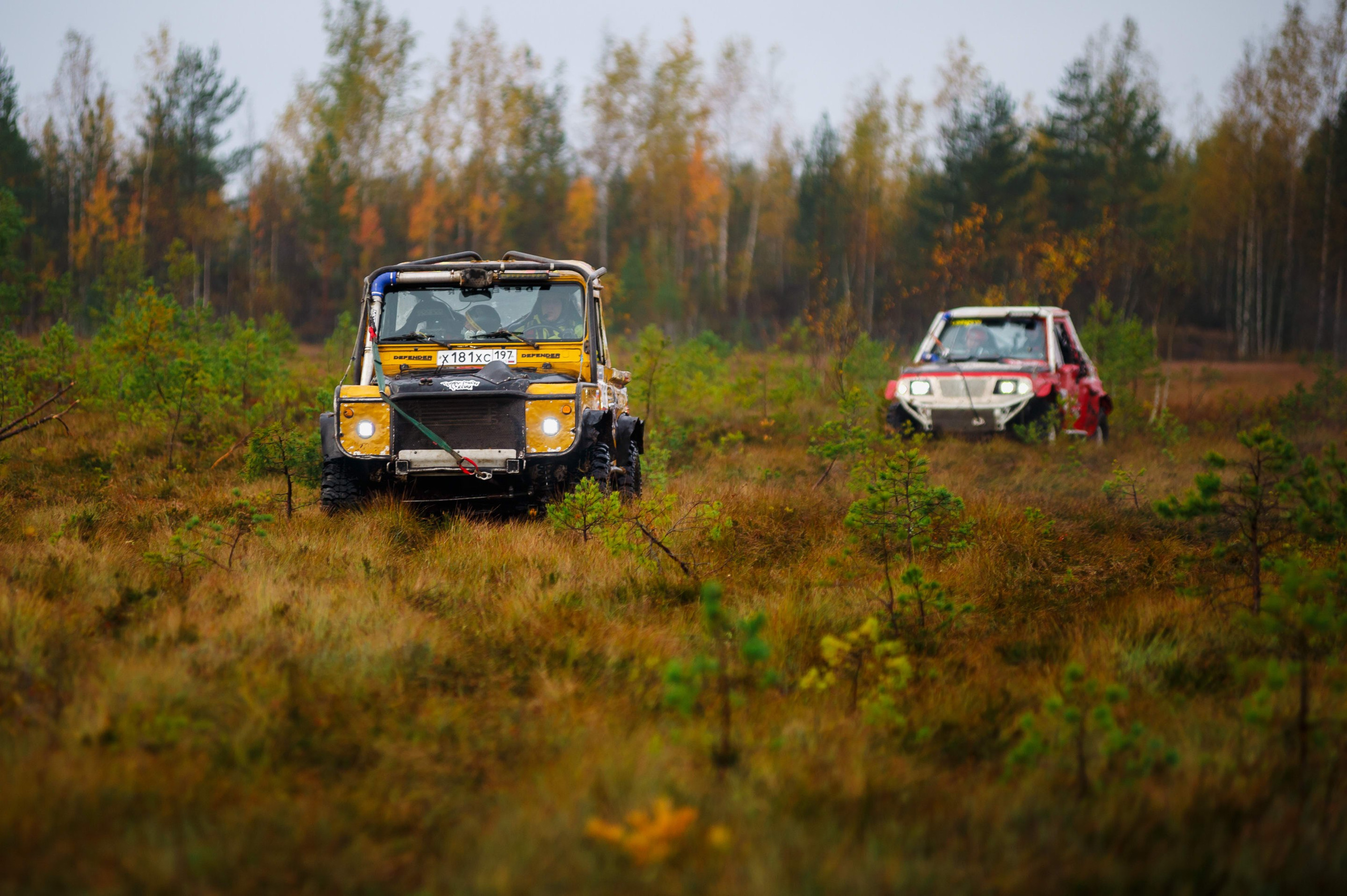 Кубок СПб по трофи-рейдам 04-06.10.2024 — день 2. Фотограф Алексей Алексеев