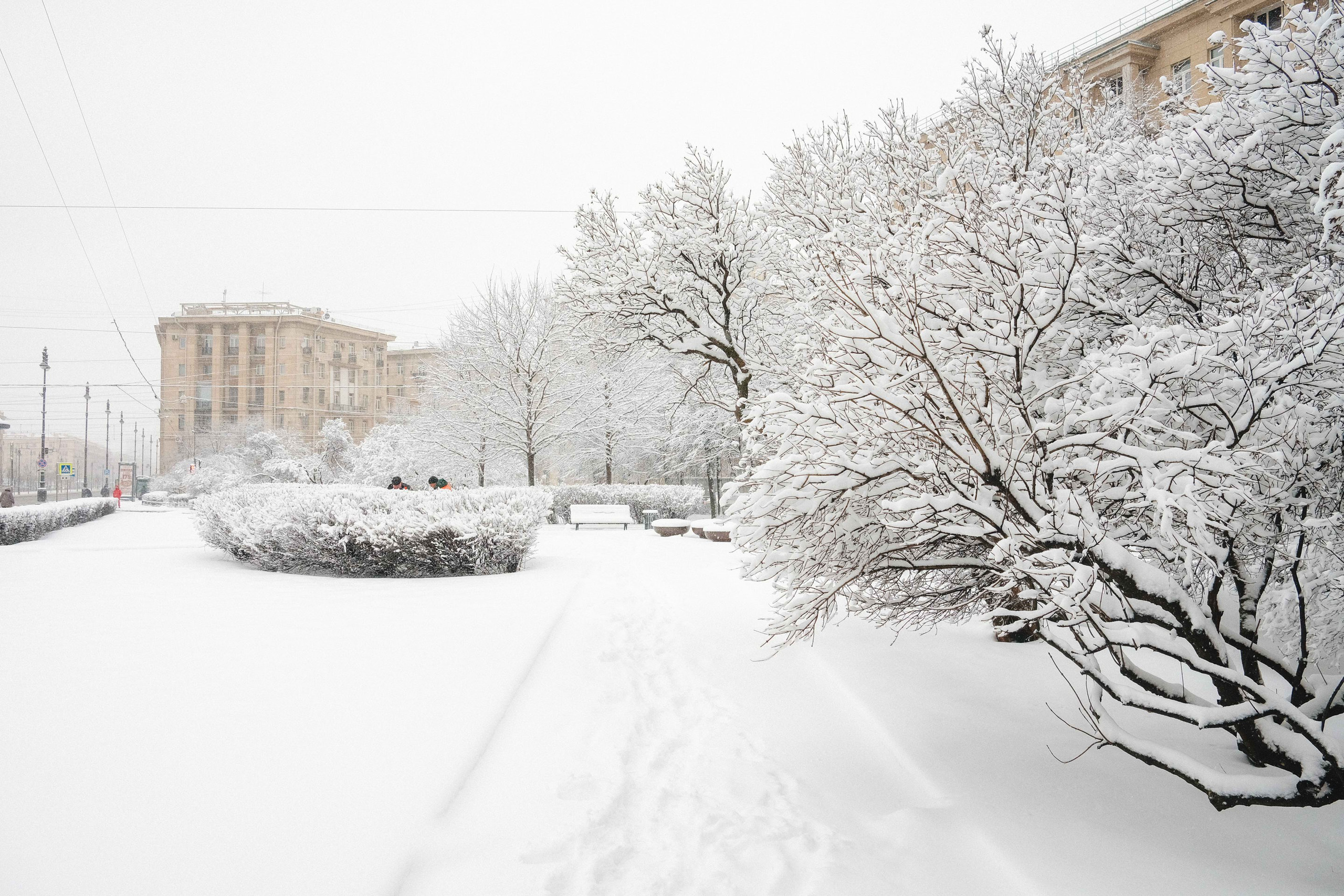 2023.03. Фотограф Алексей Алексеев