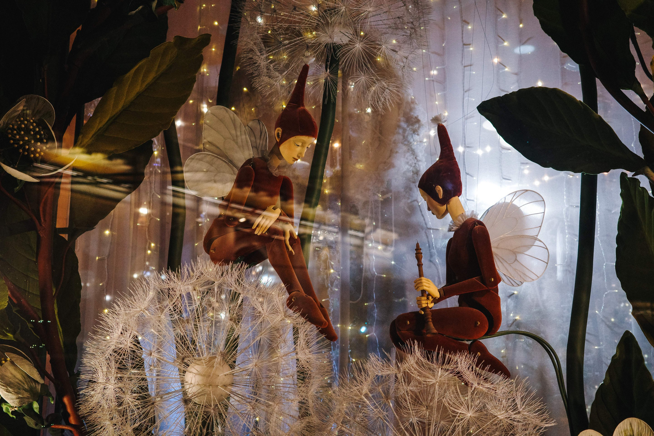 2024.12. Фотограф Алексей Алексеев